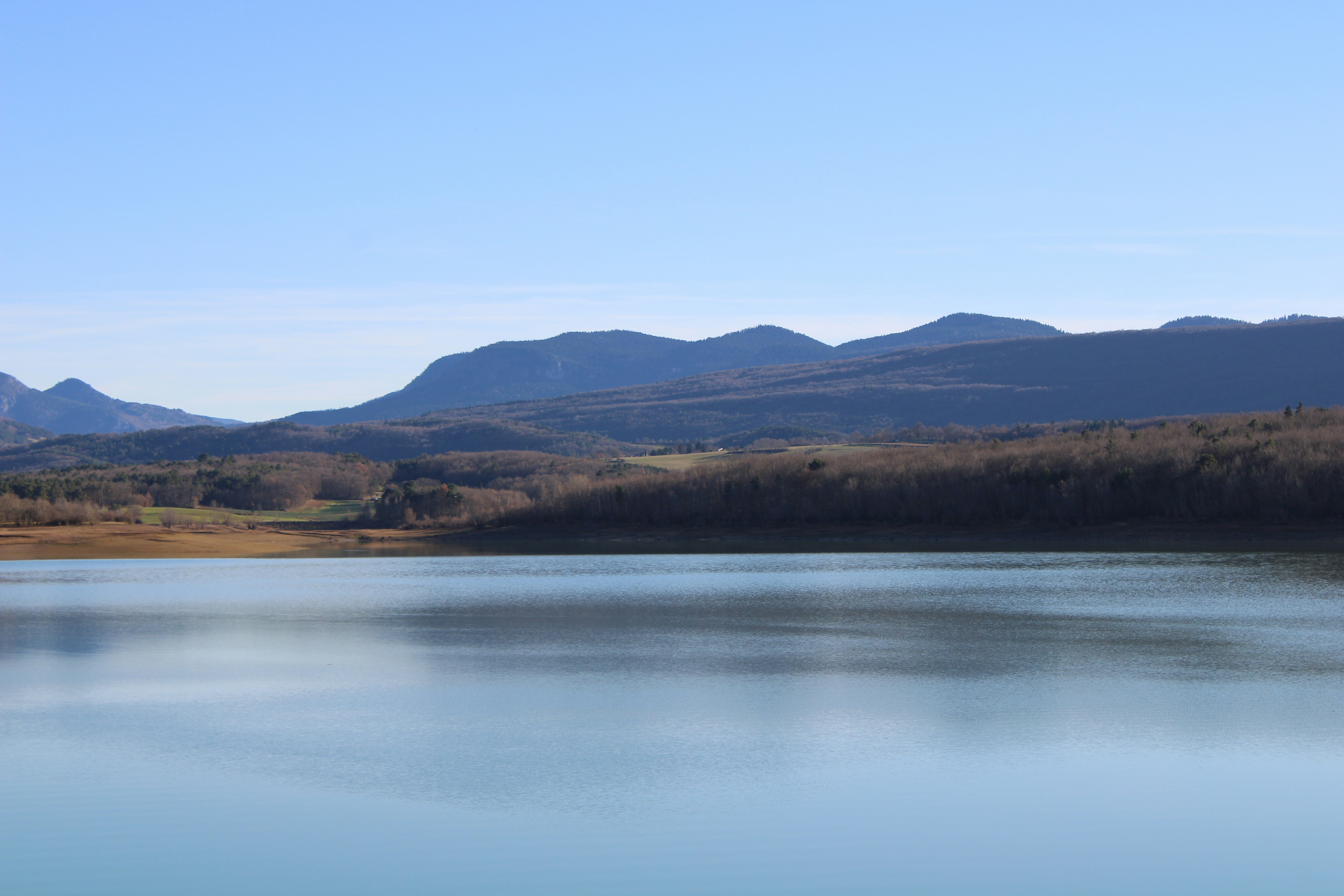 Photo by carolinabetancur