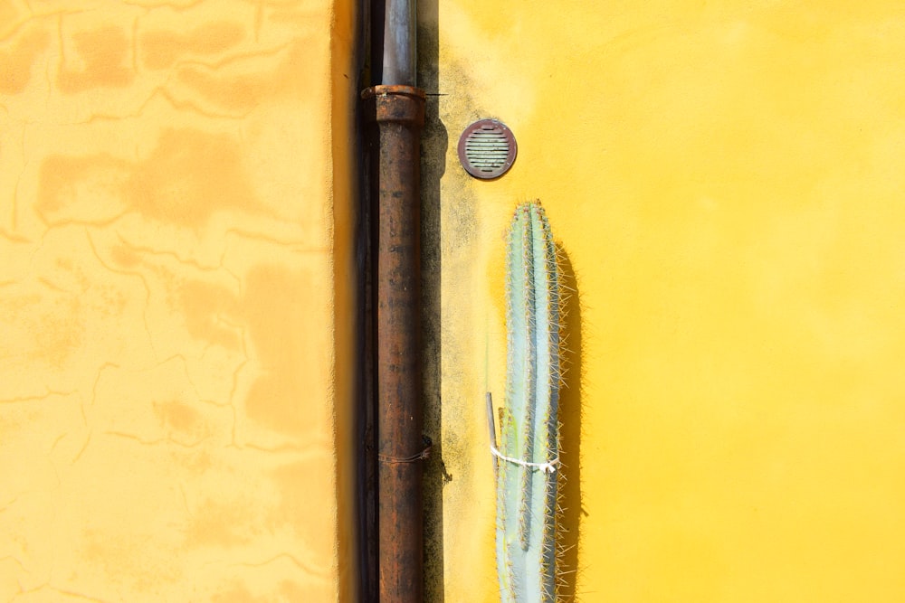 um tubo de metal em uma parede amarela ao lado de um cacto