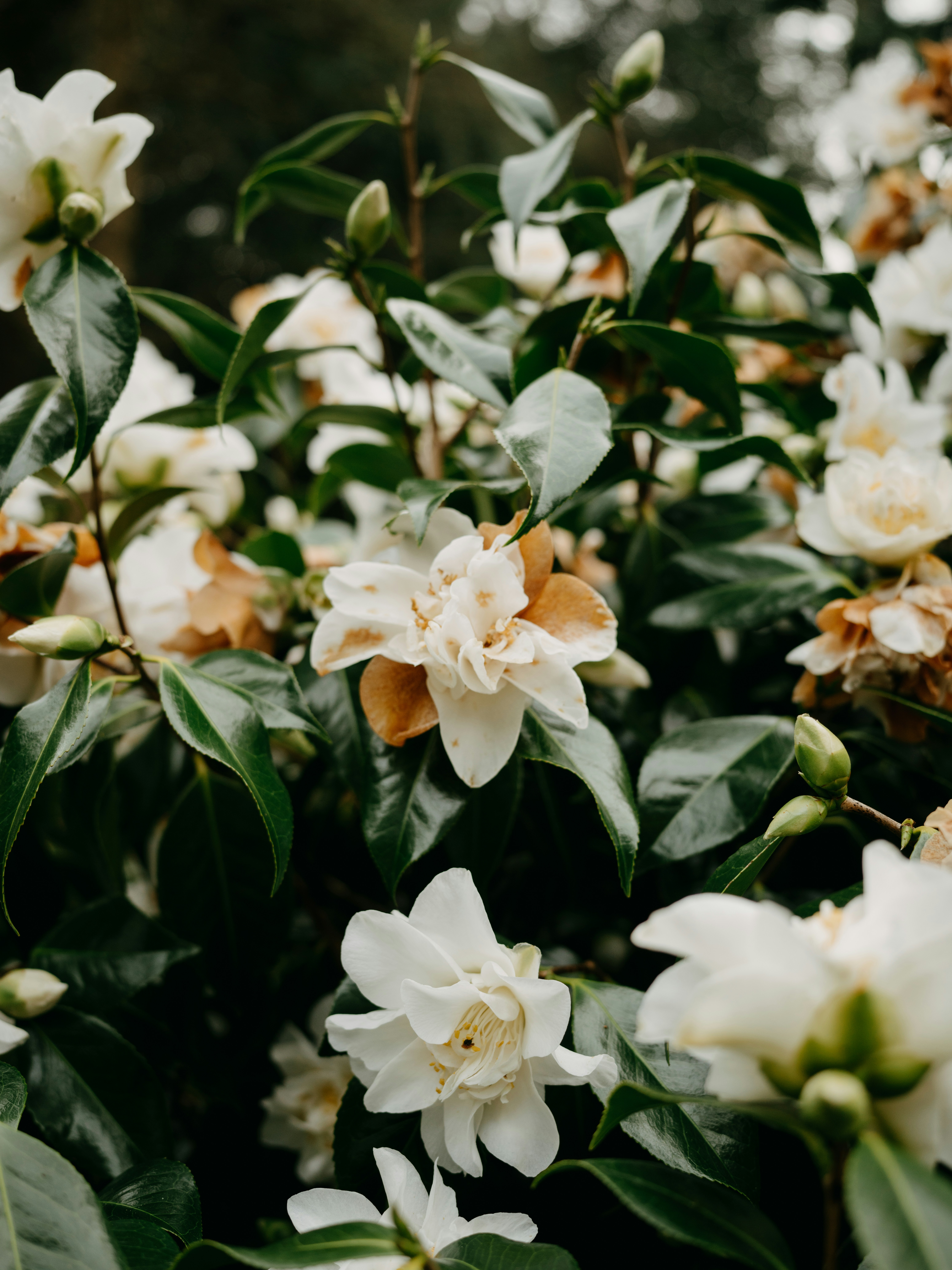 Photo by anniespratt