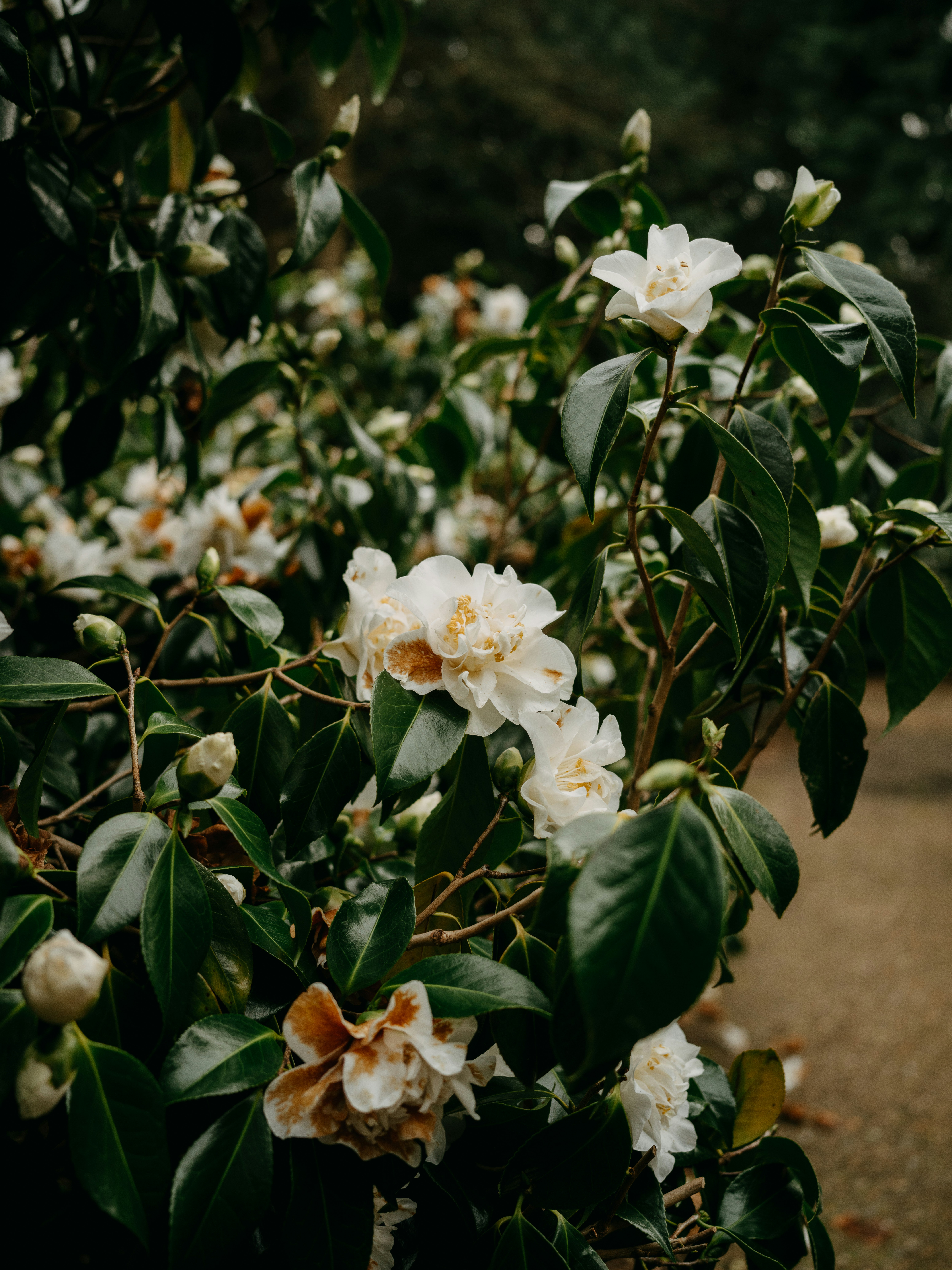 Photo by anniespratt