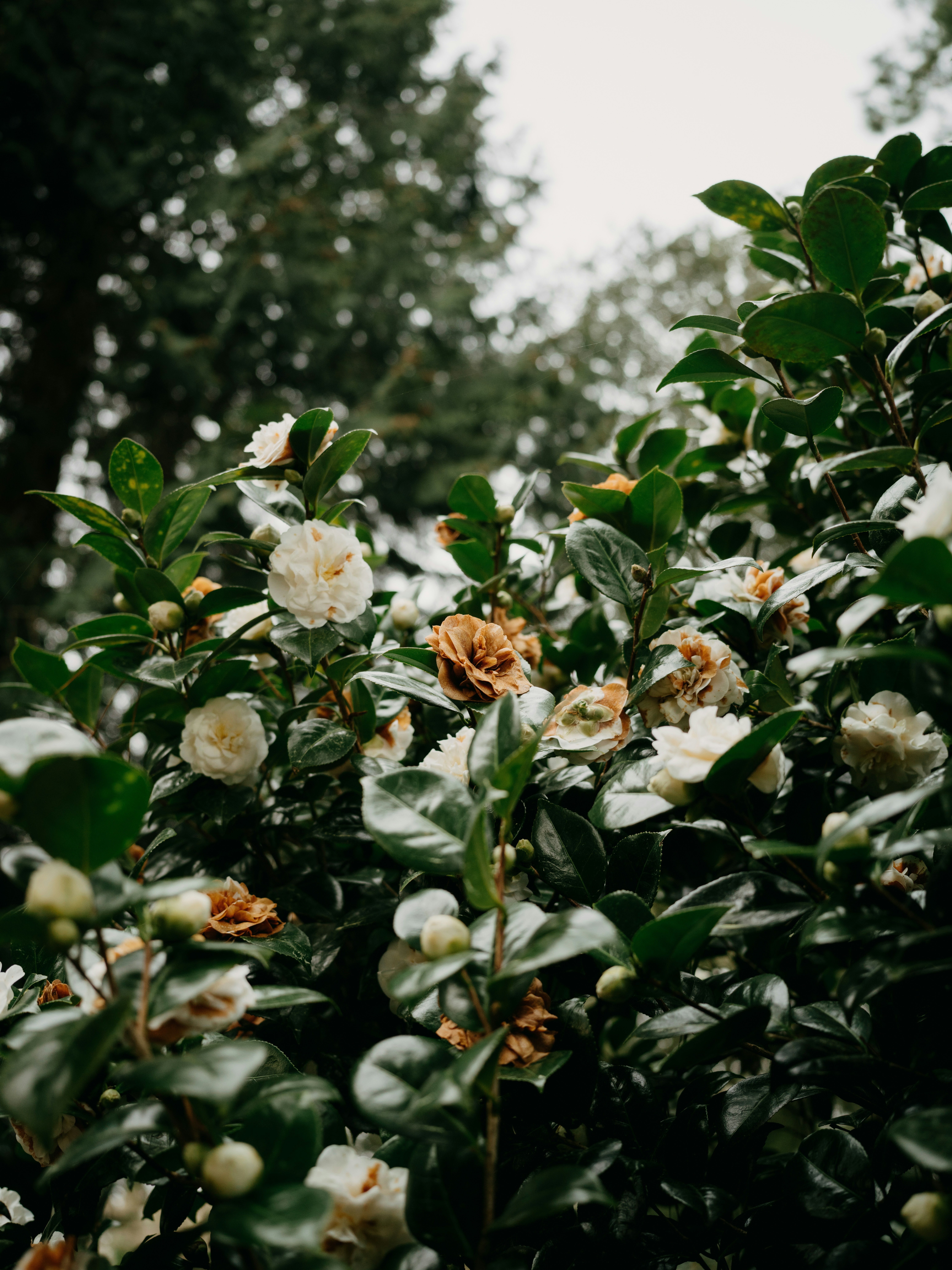 Photo by anniespratt