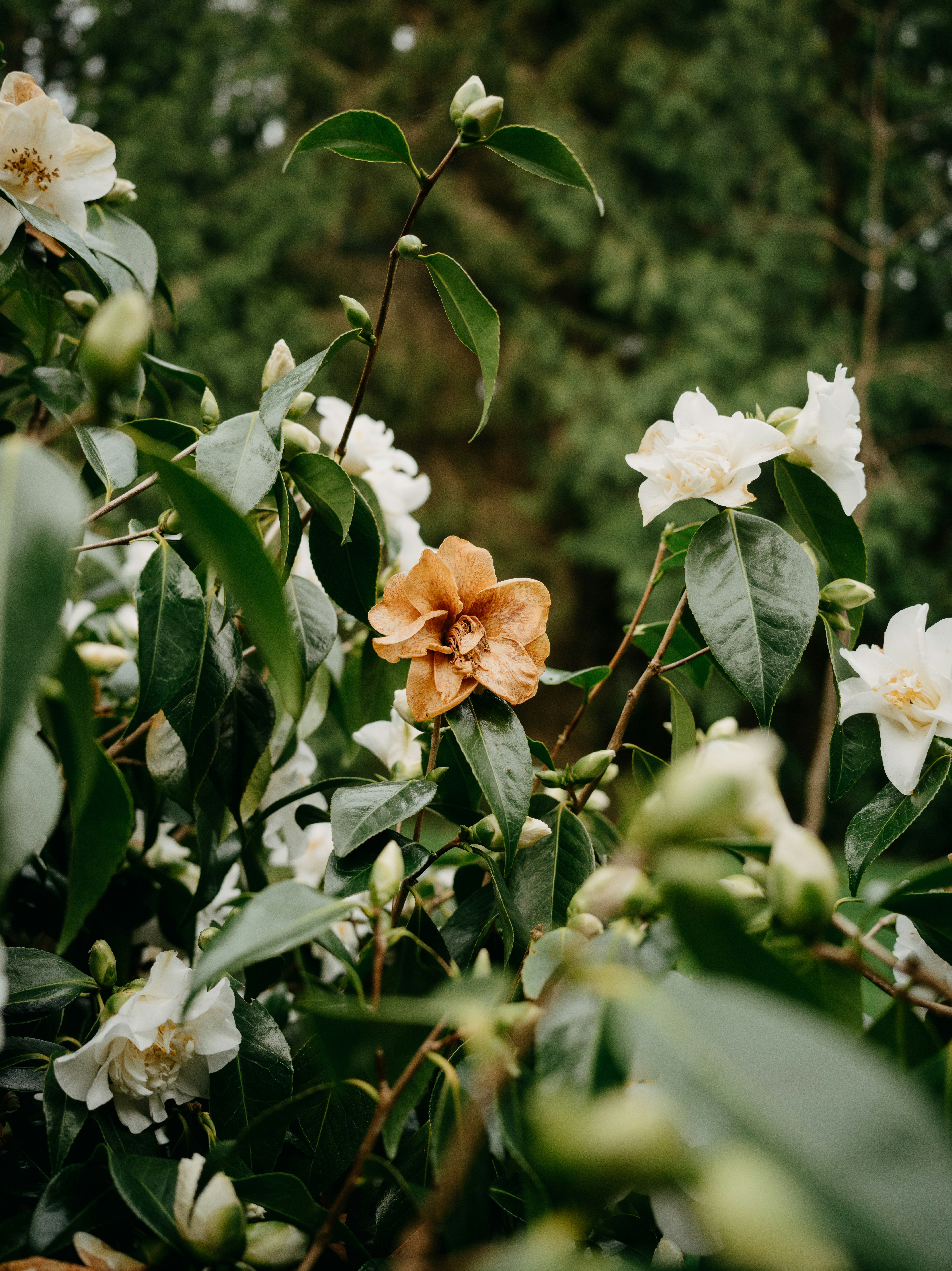 Photo by anniespratt