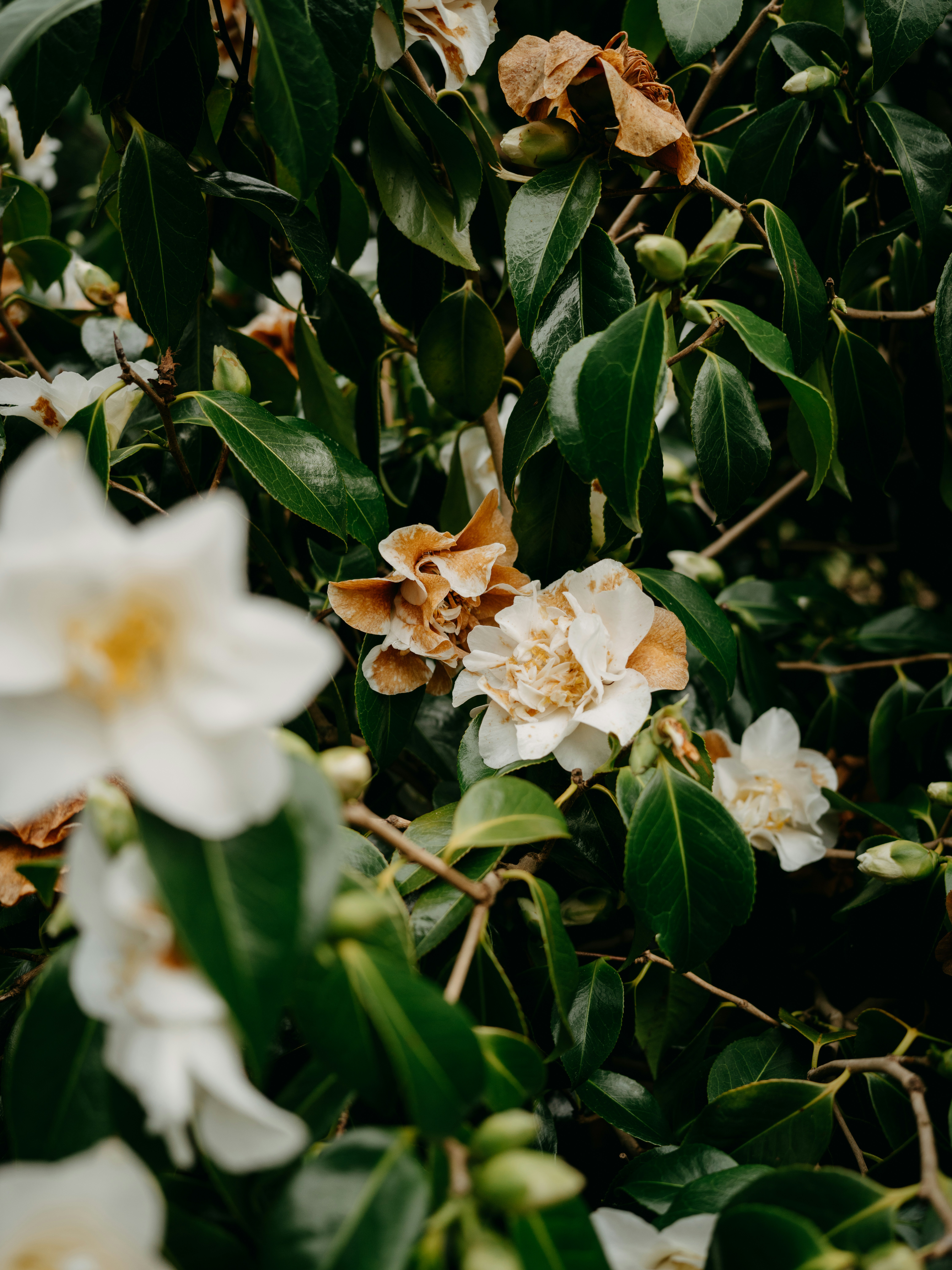 Photo by anniespratt