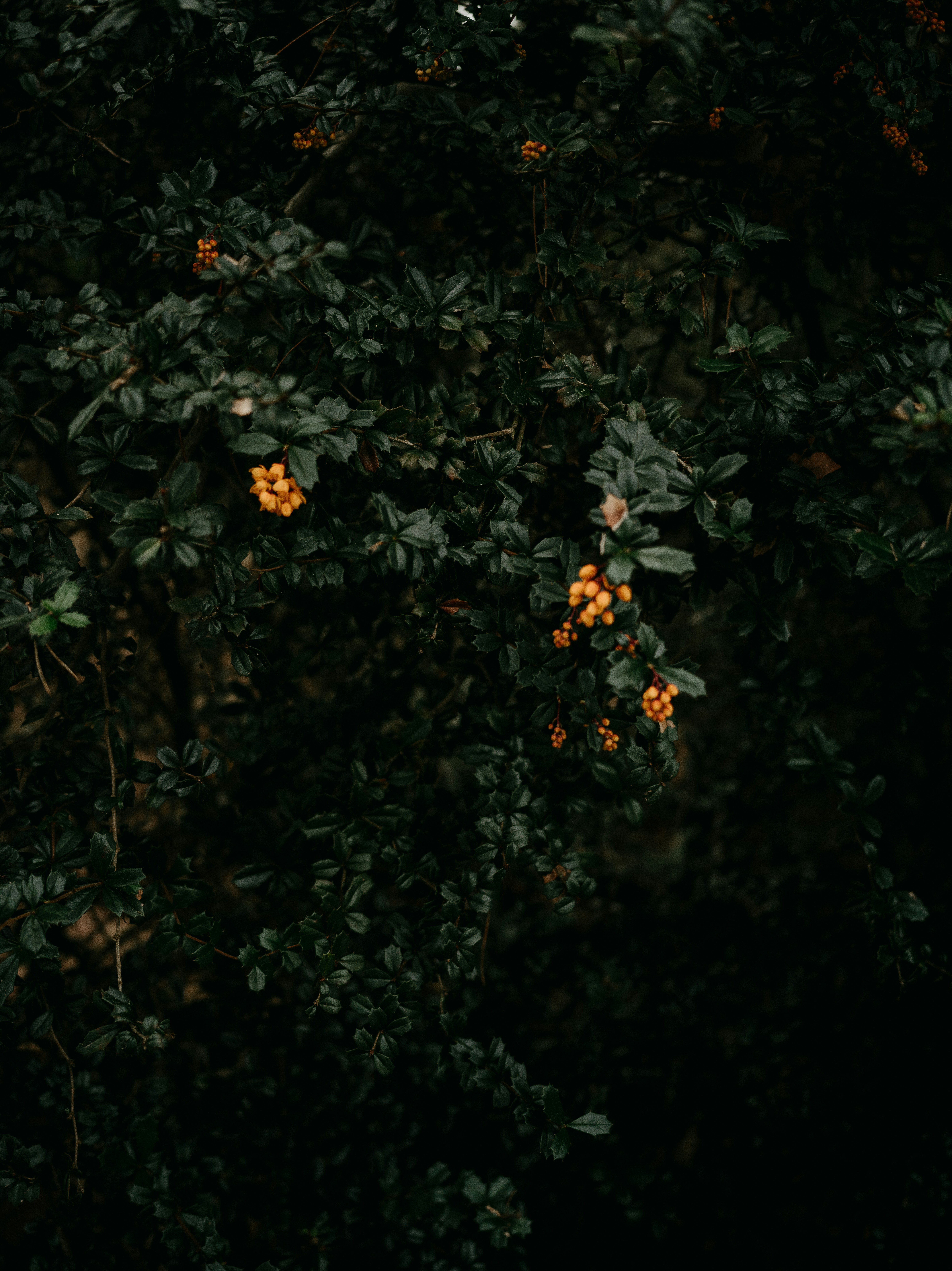 Photo by anniespratt