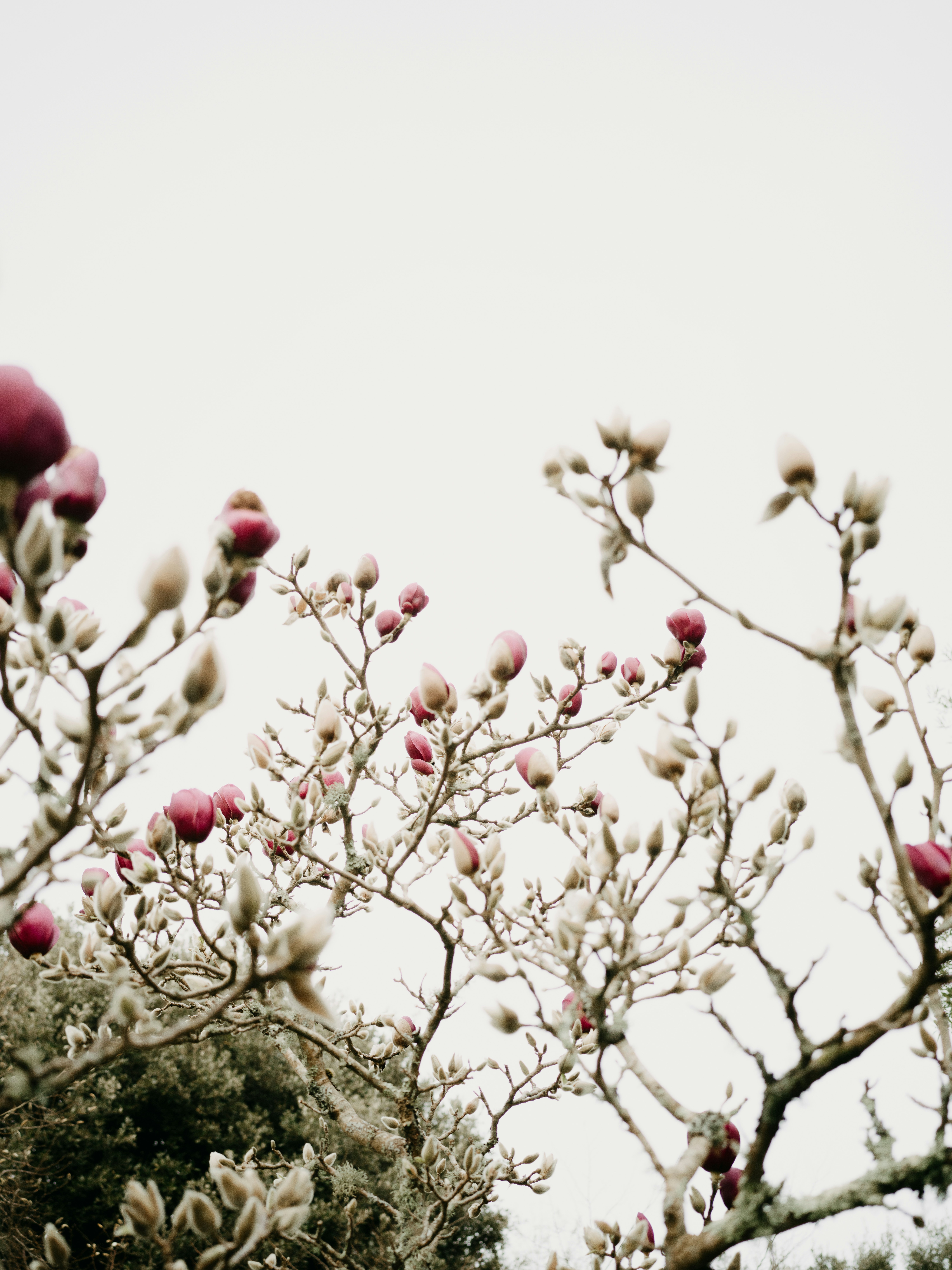 Photo by anniespratt