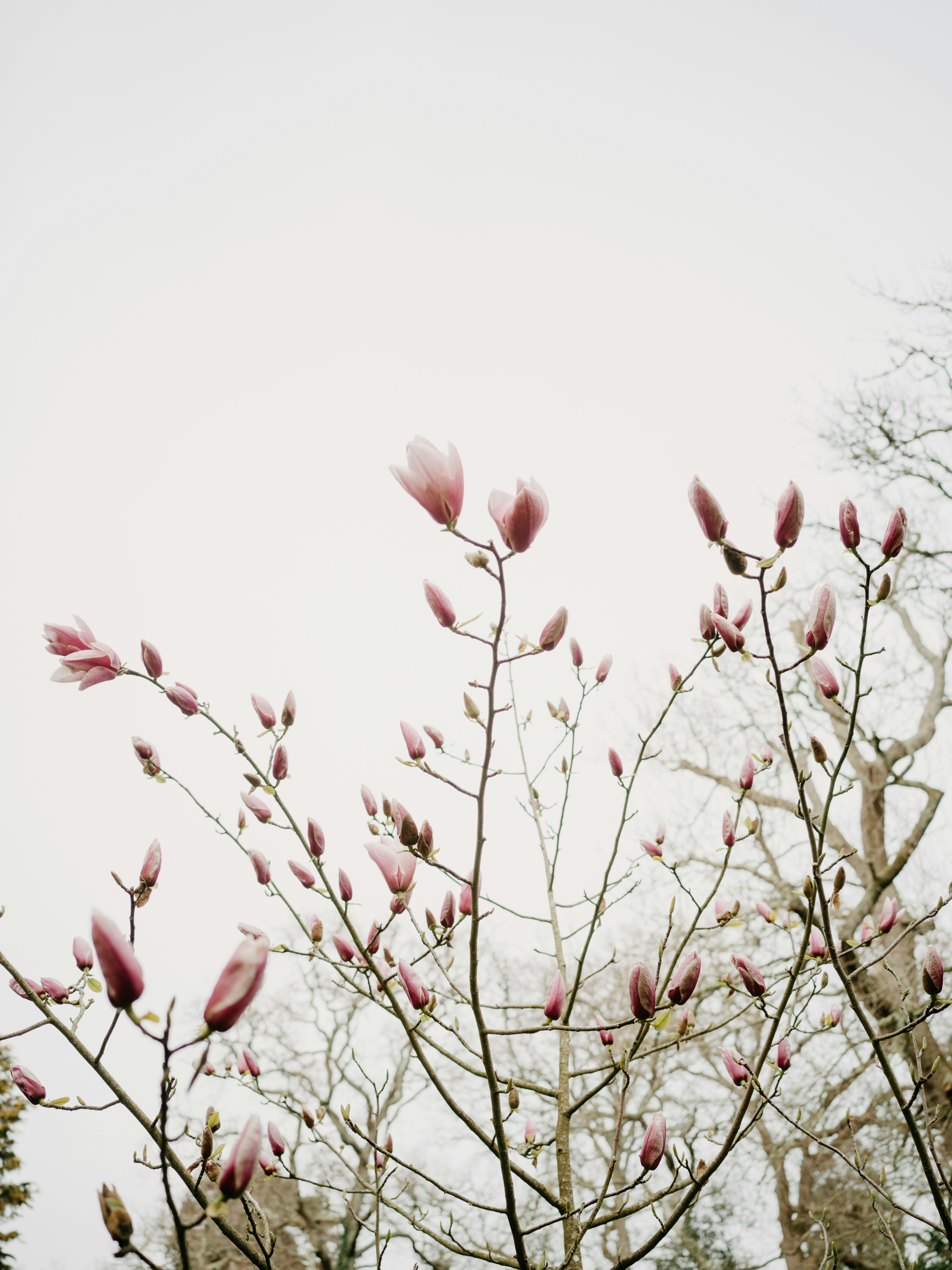 Photo by anniespratt
