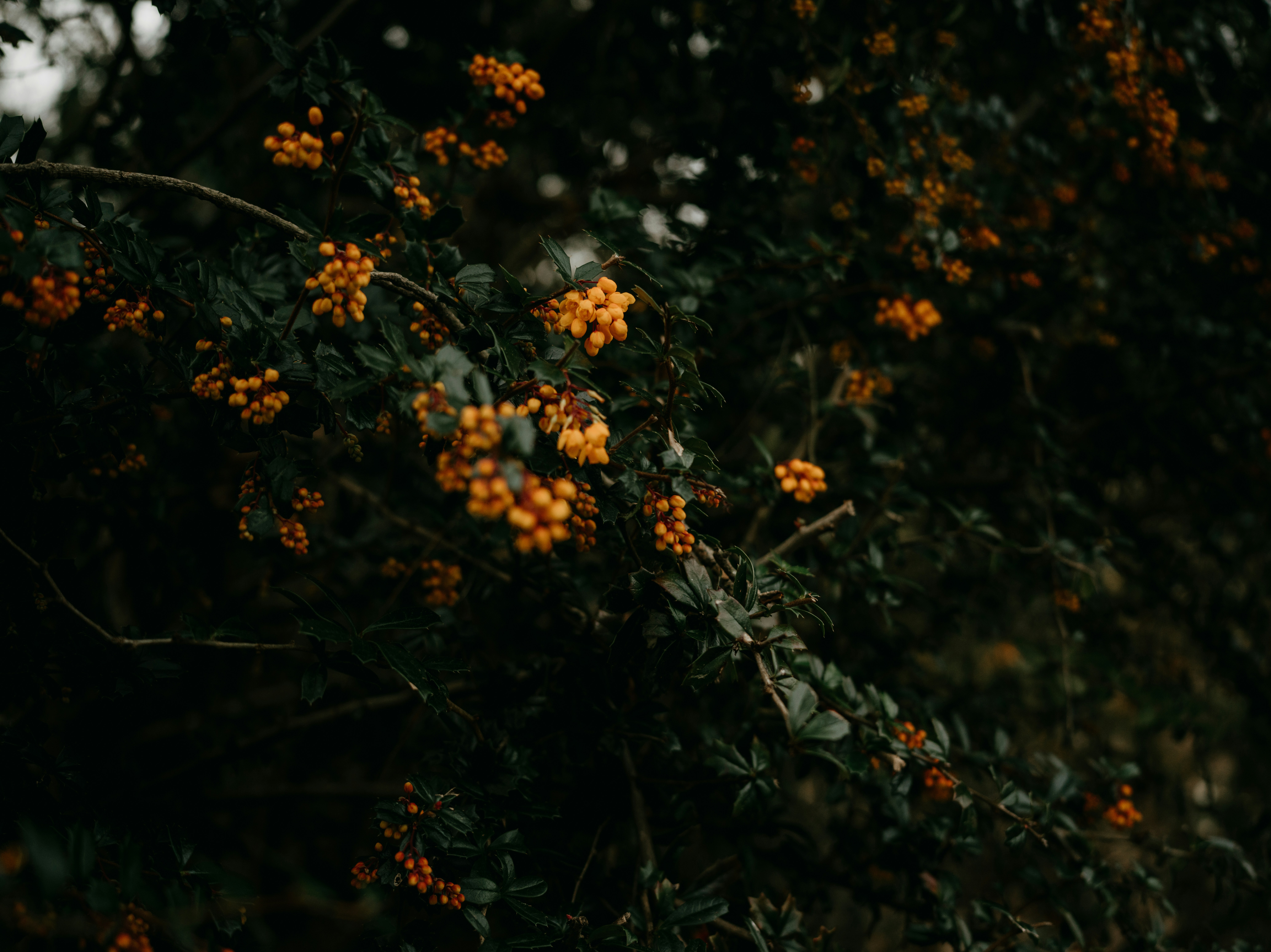 Photo by anniespratt