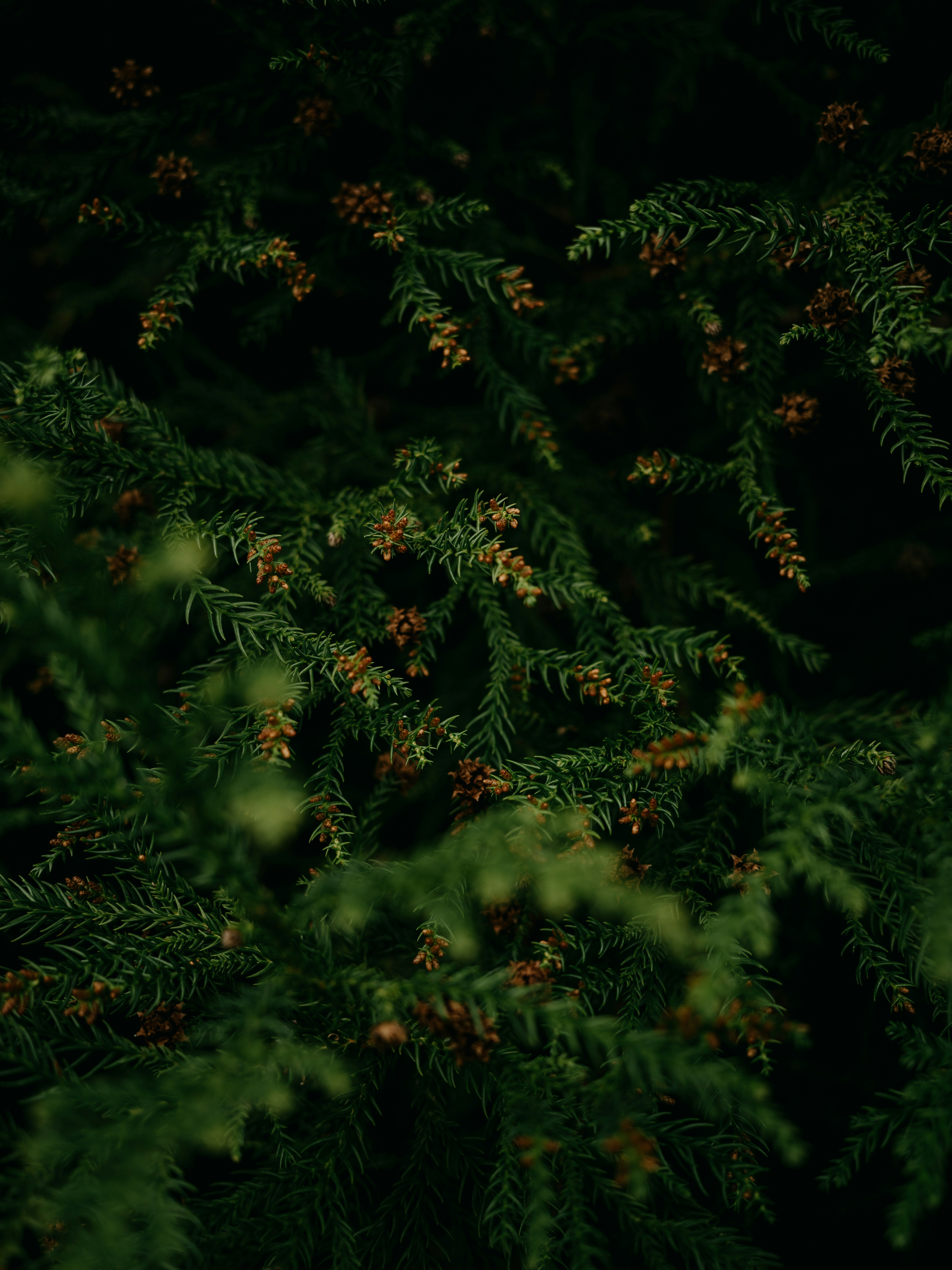 Photo by anniespratt