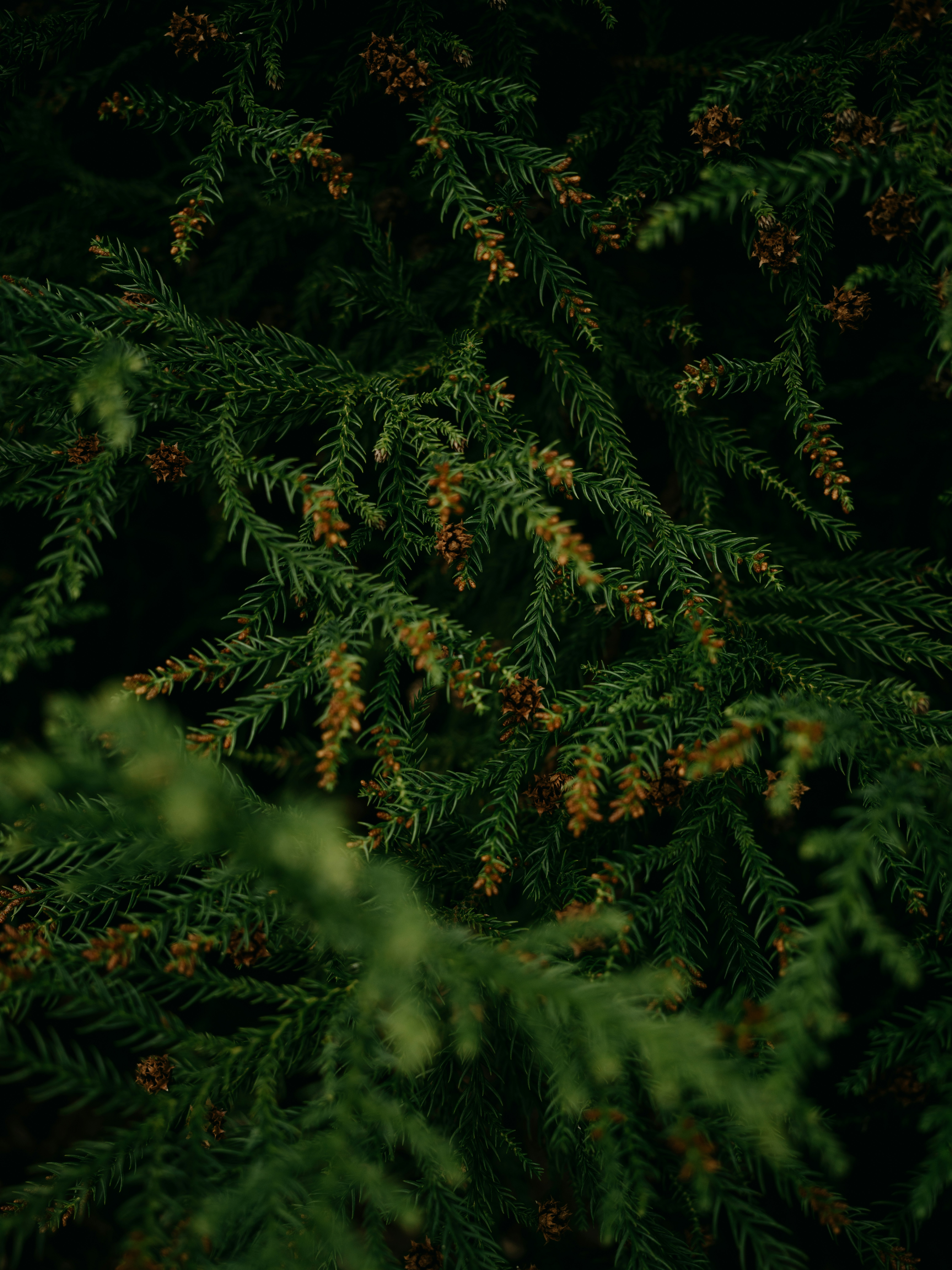 Photo by anniespratt