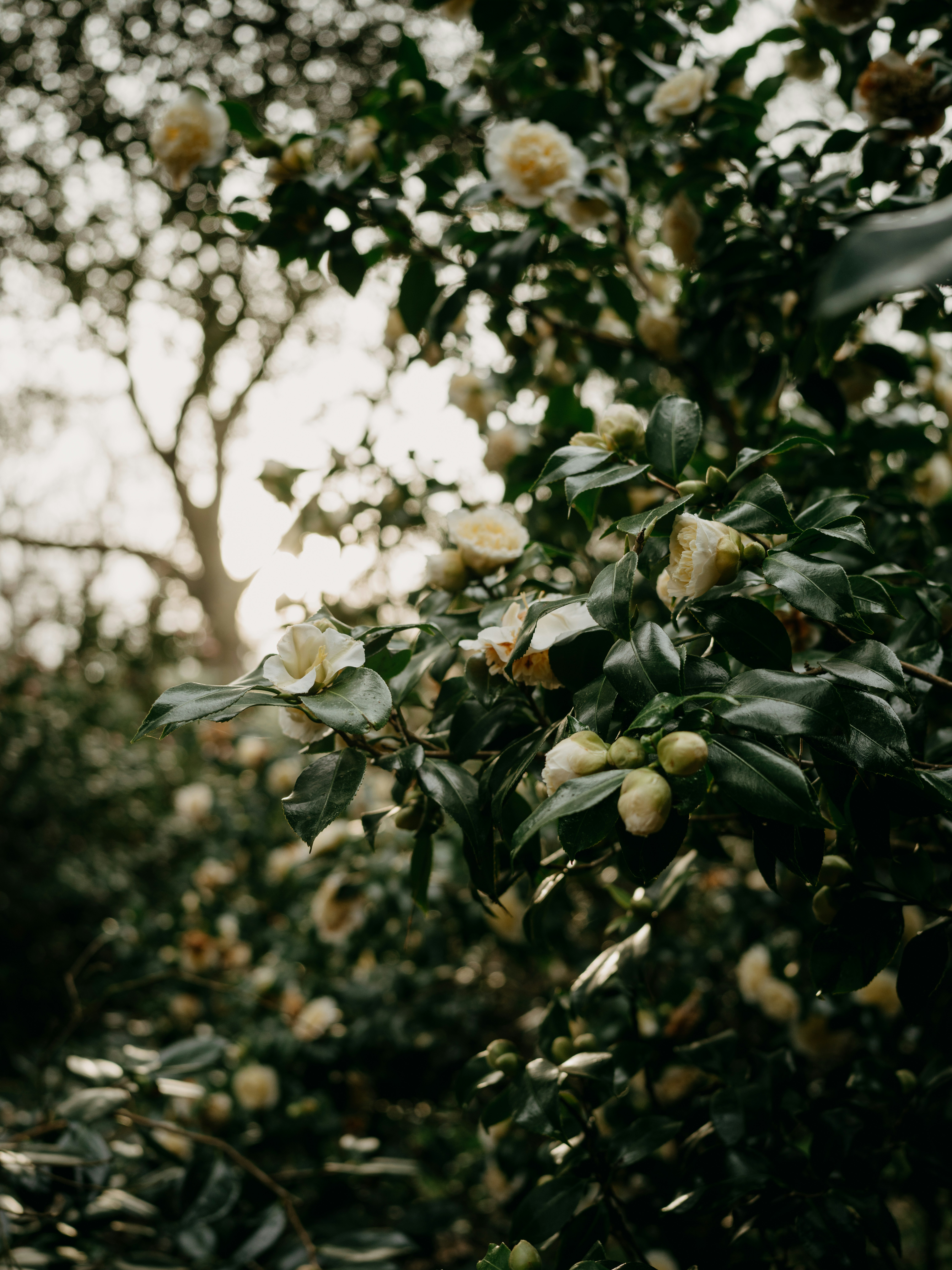 Photo by anniespratt