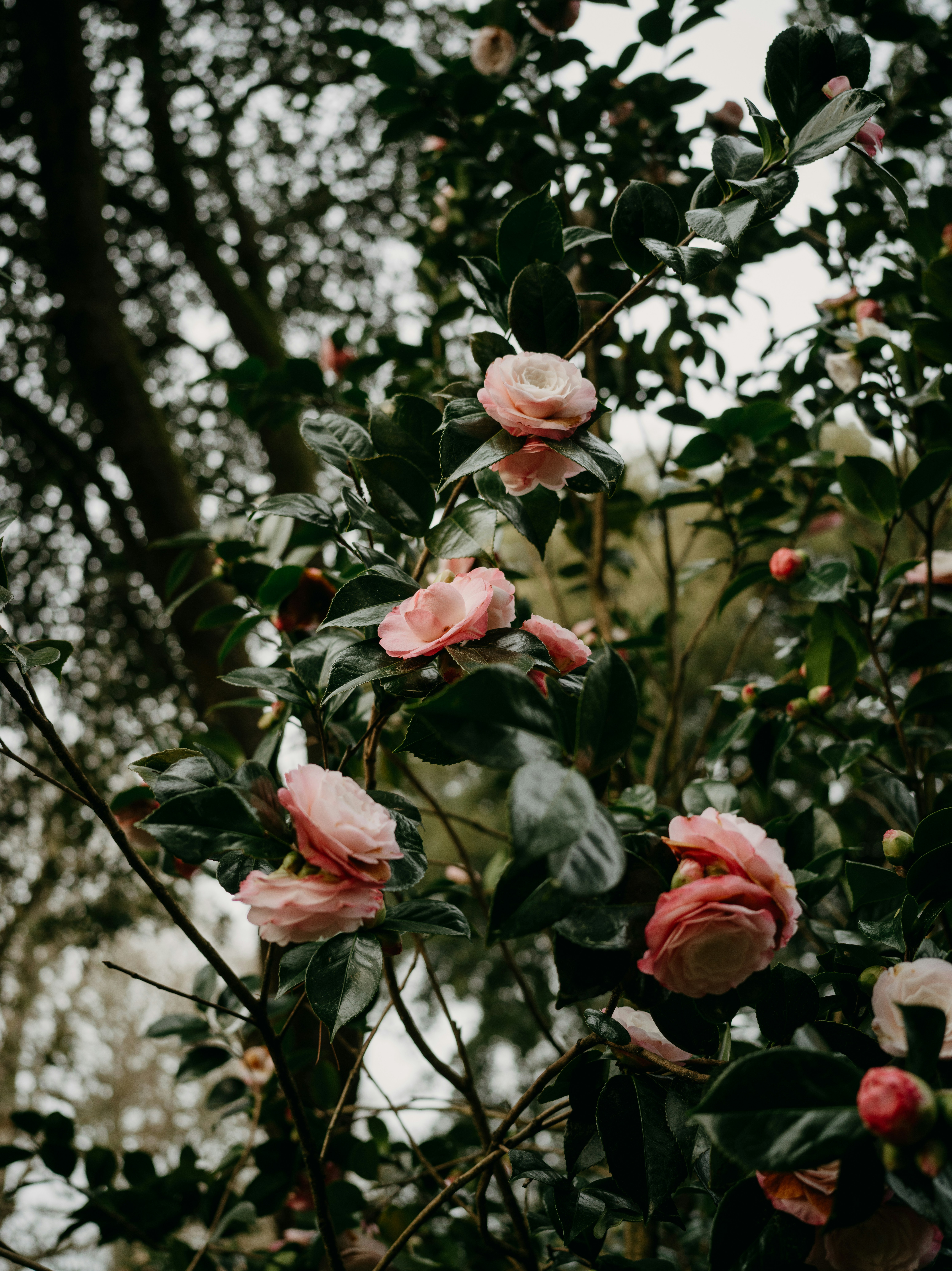 Photo by anniespratt