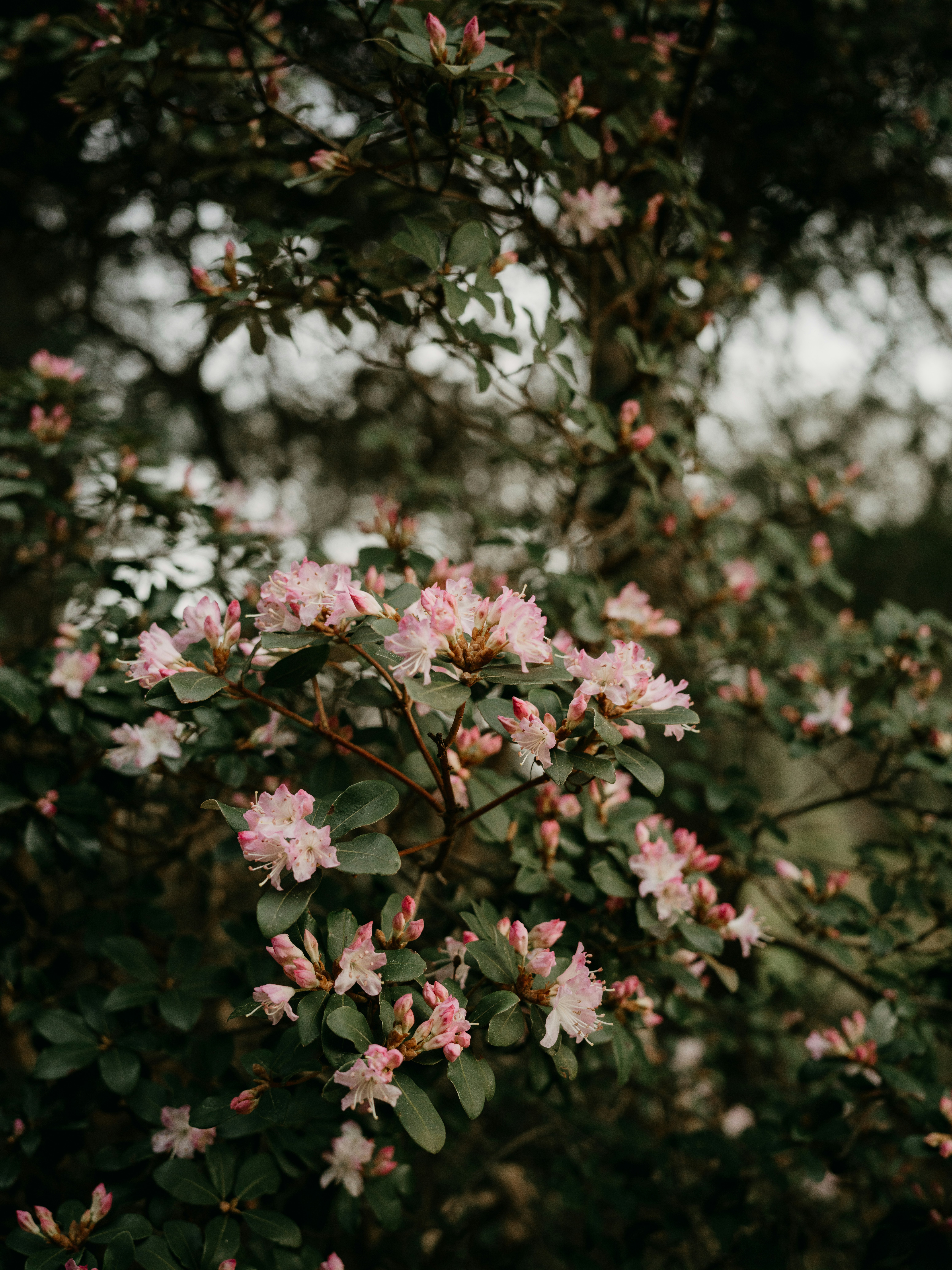 Photo by anniespratt