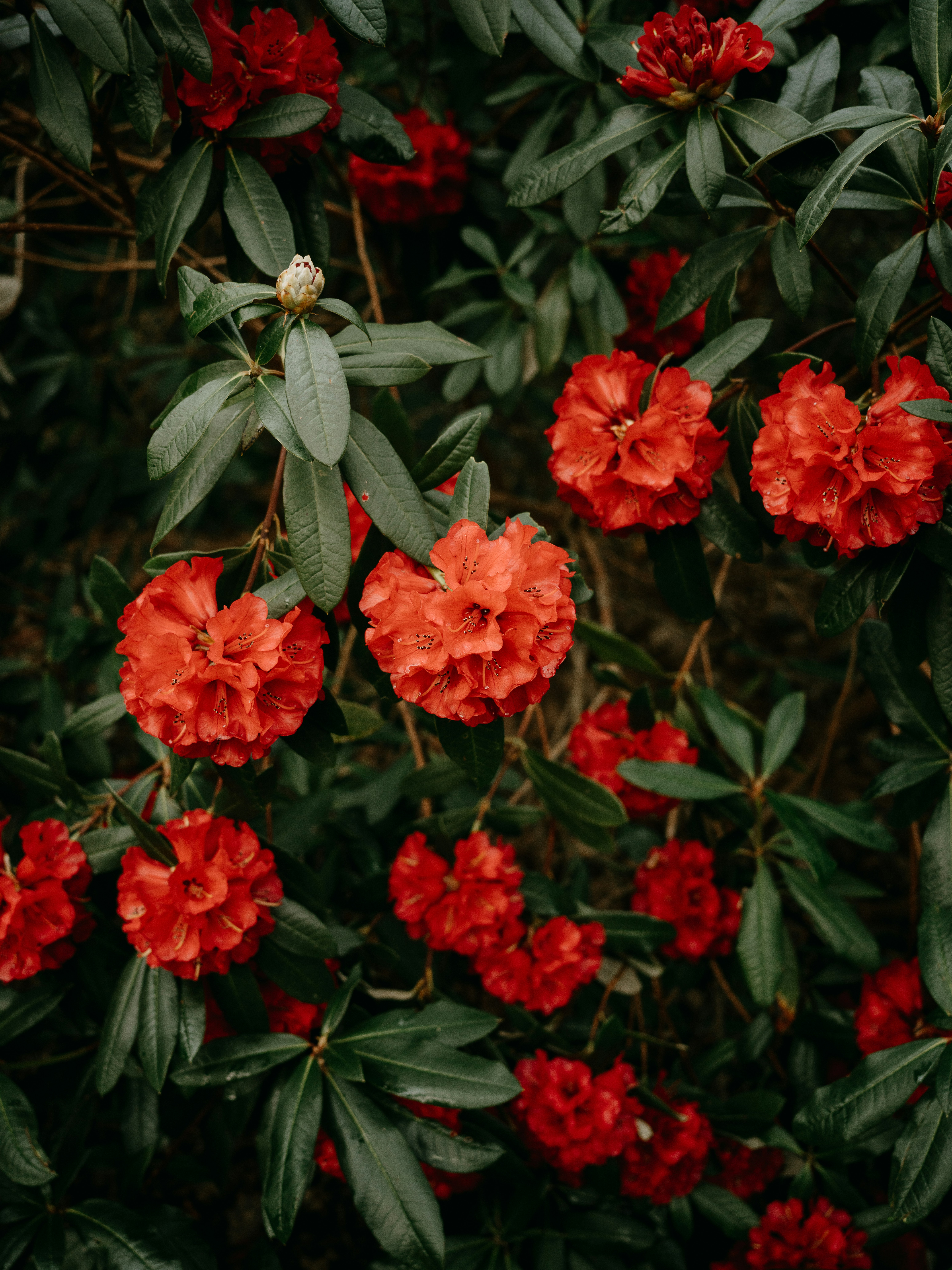 Photo by anniespratt