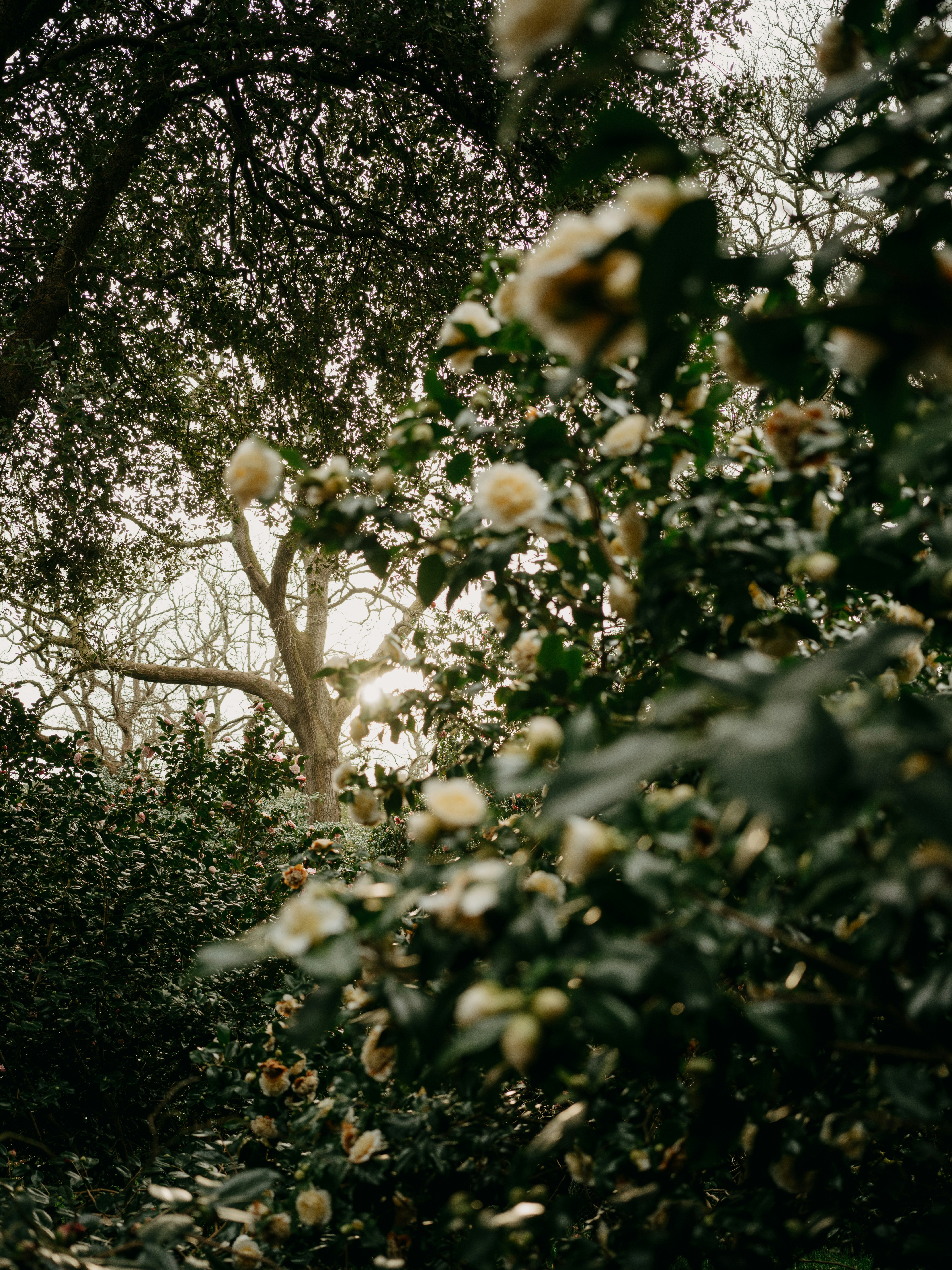 Photo by anniespratt