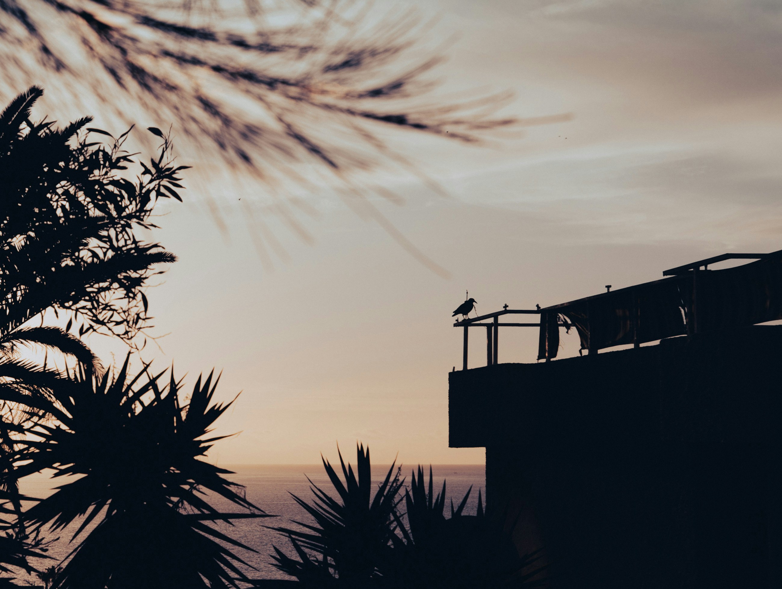 Photo by kamilpphotos