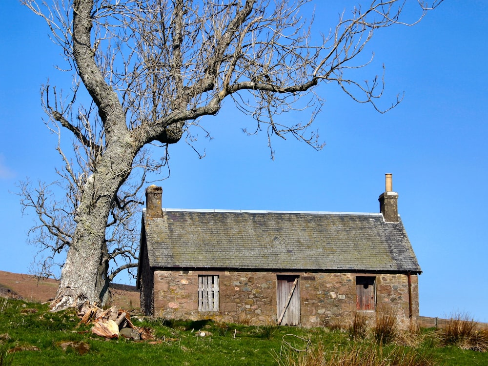 a stone building with a tree in front of it