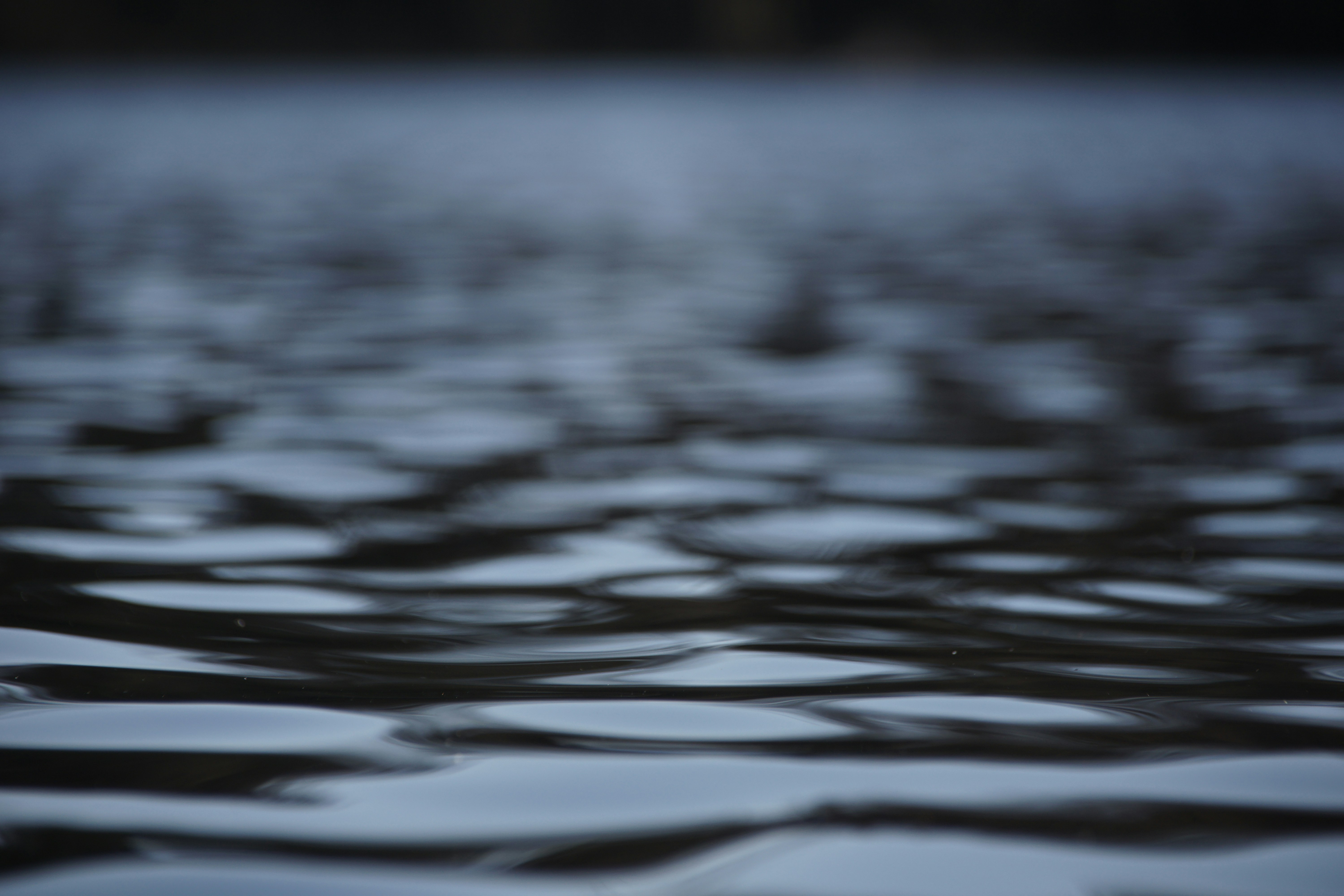 Photo by danielschuh