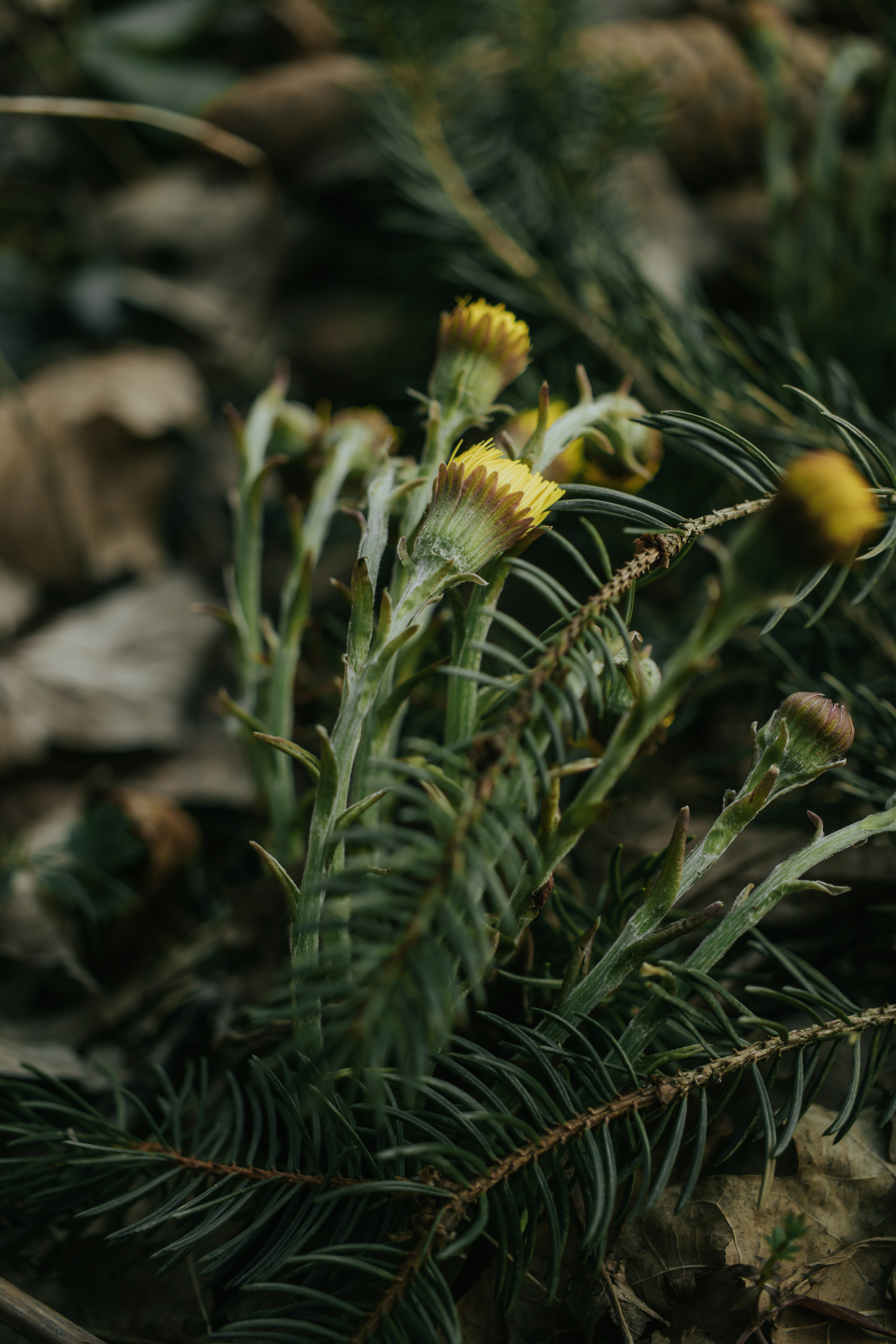 Photo by earthfulmoments