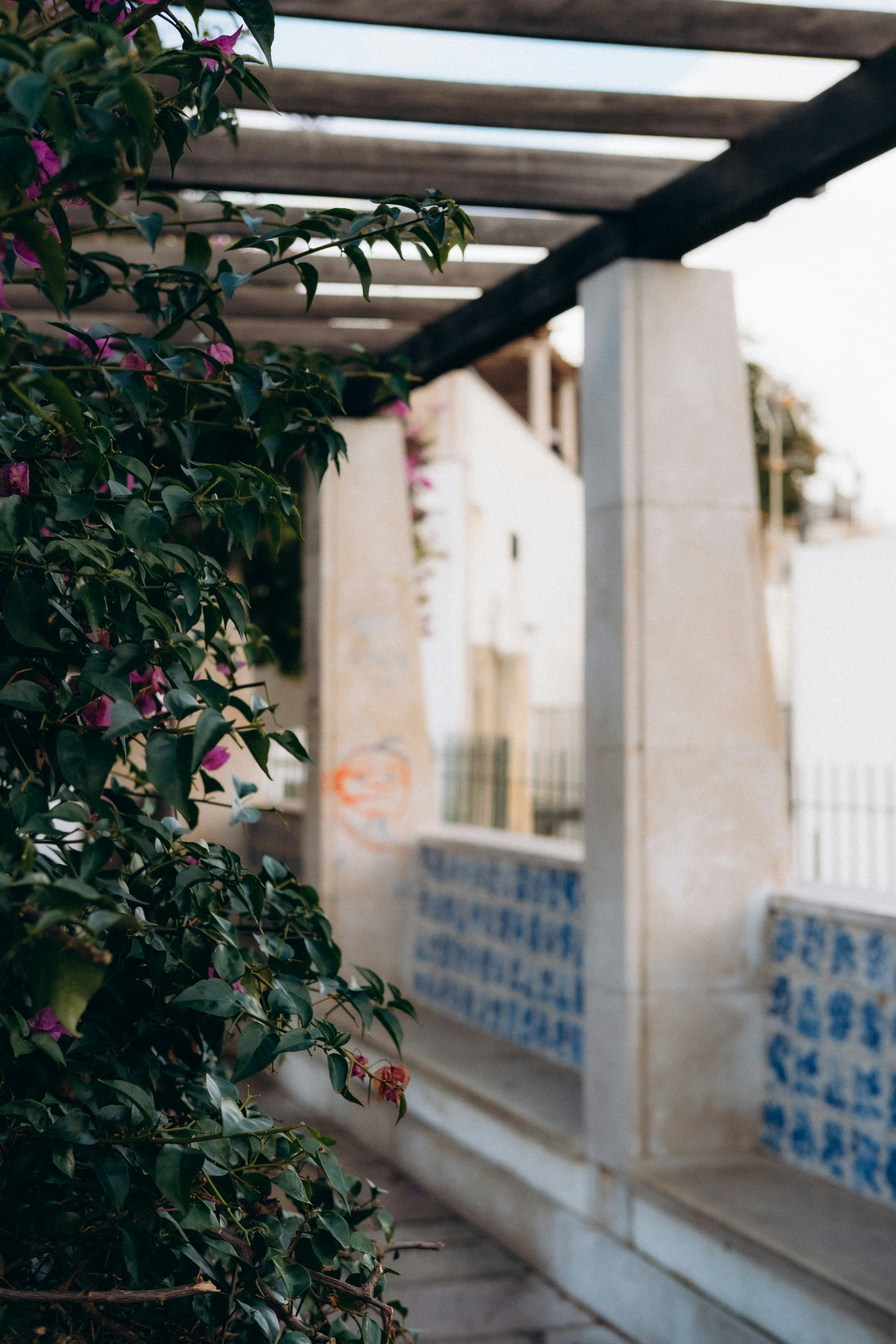 Photo by yana_hurska