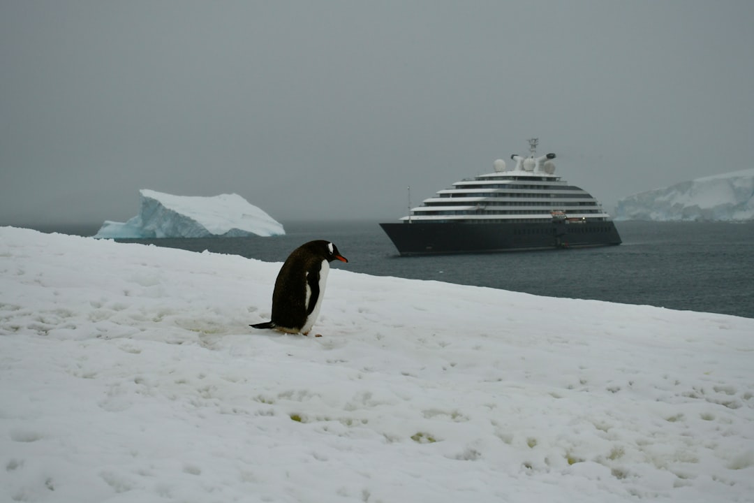 Off the Beaten Path: Satisfy Your Wanderlust on These Thrilling Expedition Cruises