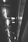 High-contrast monochrome photo of a modern office environment with soft lighting.