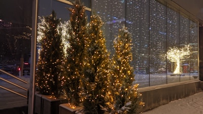 A row of outdoor fir trees adorned with warm white Christmas lights, set along a glass building that reflects the blinking lights. Snow covers the ground and some of the branches, with a faintly visible winter landscape in the background.