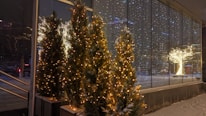 A team of professionals installing Christmas lights on a charming residential property during the winter season.