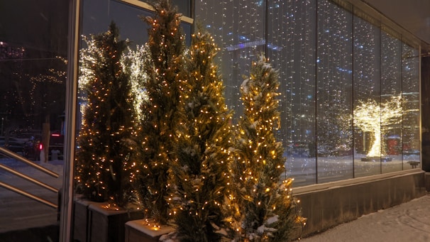 A row of outdoor fir trees adorned with warm white Christmas lights, set along a glass building that reflects the blinking lights. Snow covers the ground and some of the branches, with a faintly visible winter landscape in the background.