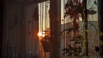 A serene morning scene with a woman meditating by a sunlit window surrounded by plants.