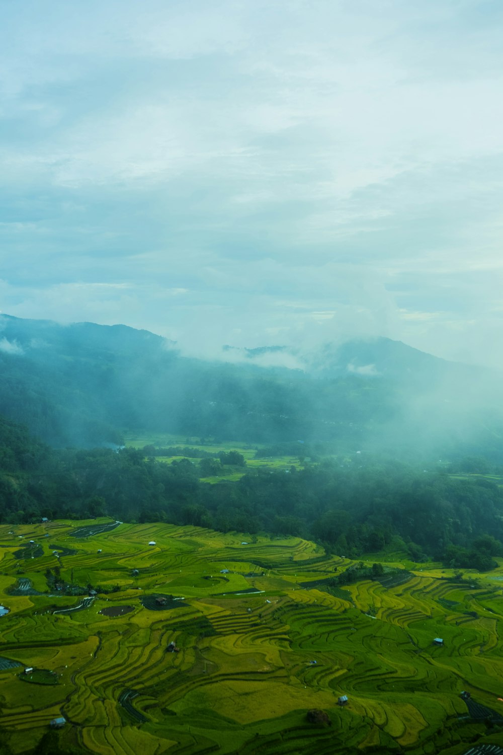 an aerial view of a rice field with mountains in the background