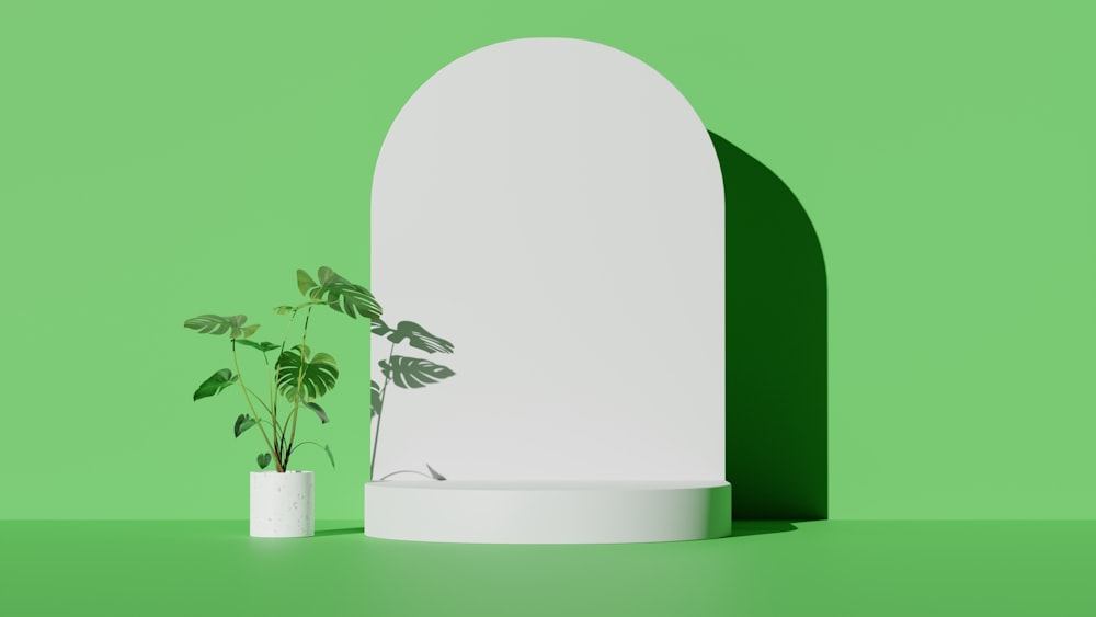 a plant in a white vase next to a green wall