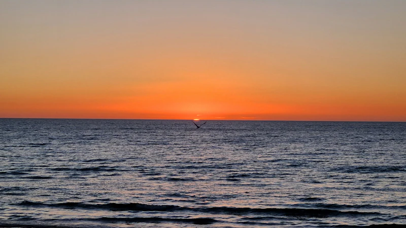 Glenelg Beach Adelaide coastline