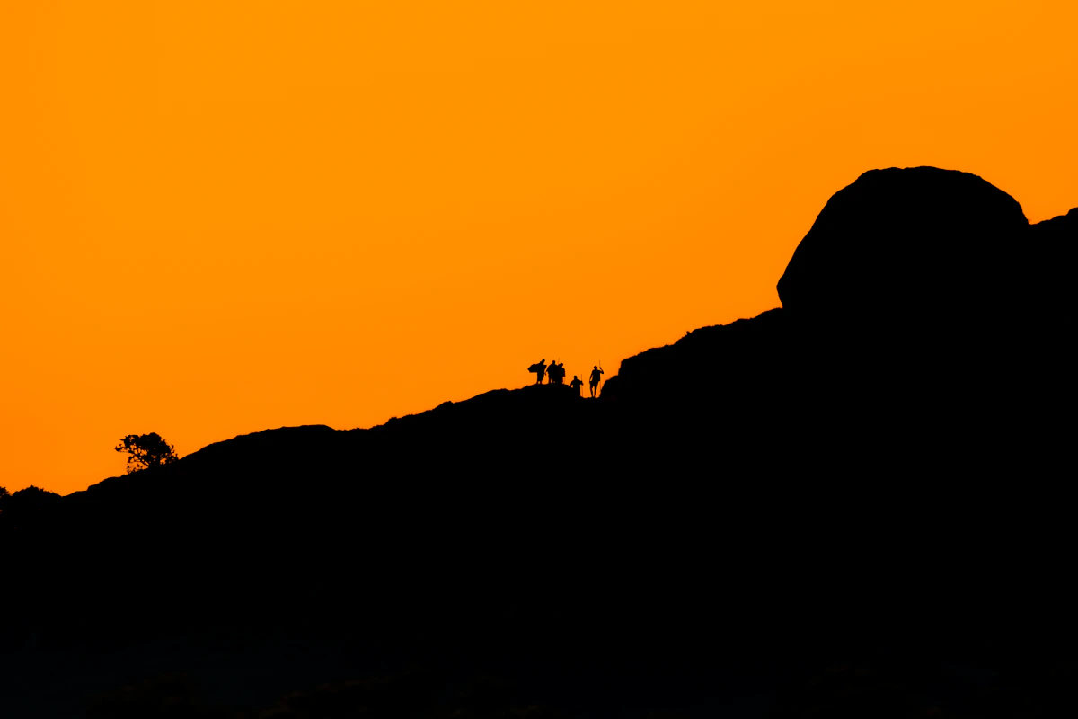 Silhouette of the Velliangiri hill range with a bird in flight at sunset