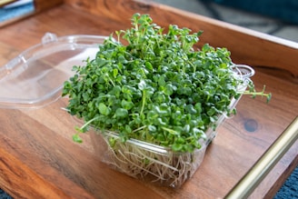 a plastic container filled with green plants on top of a wooden tray