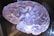 A translucent, sculpted model of a human brain, showing intricate grooves and folds. The surface has a glossy sheen, reflecting light in various shades of purple and blue, giving it a surreal, almost ethereal appearance.