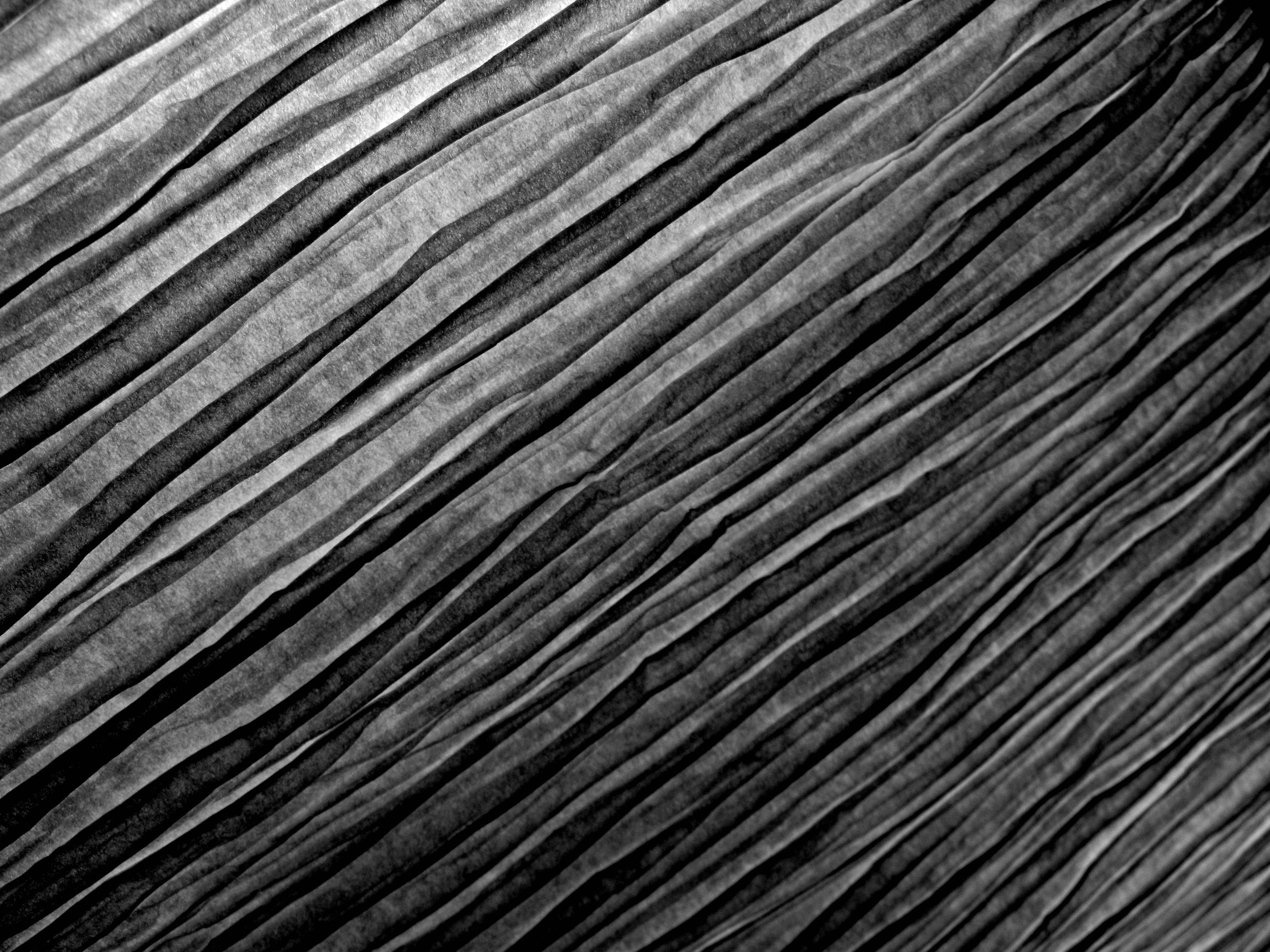 Photo by francesco_ungaro