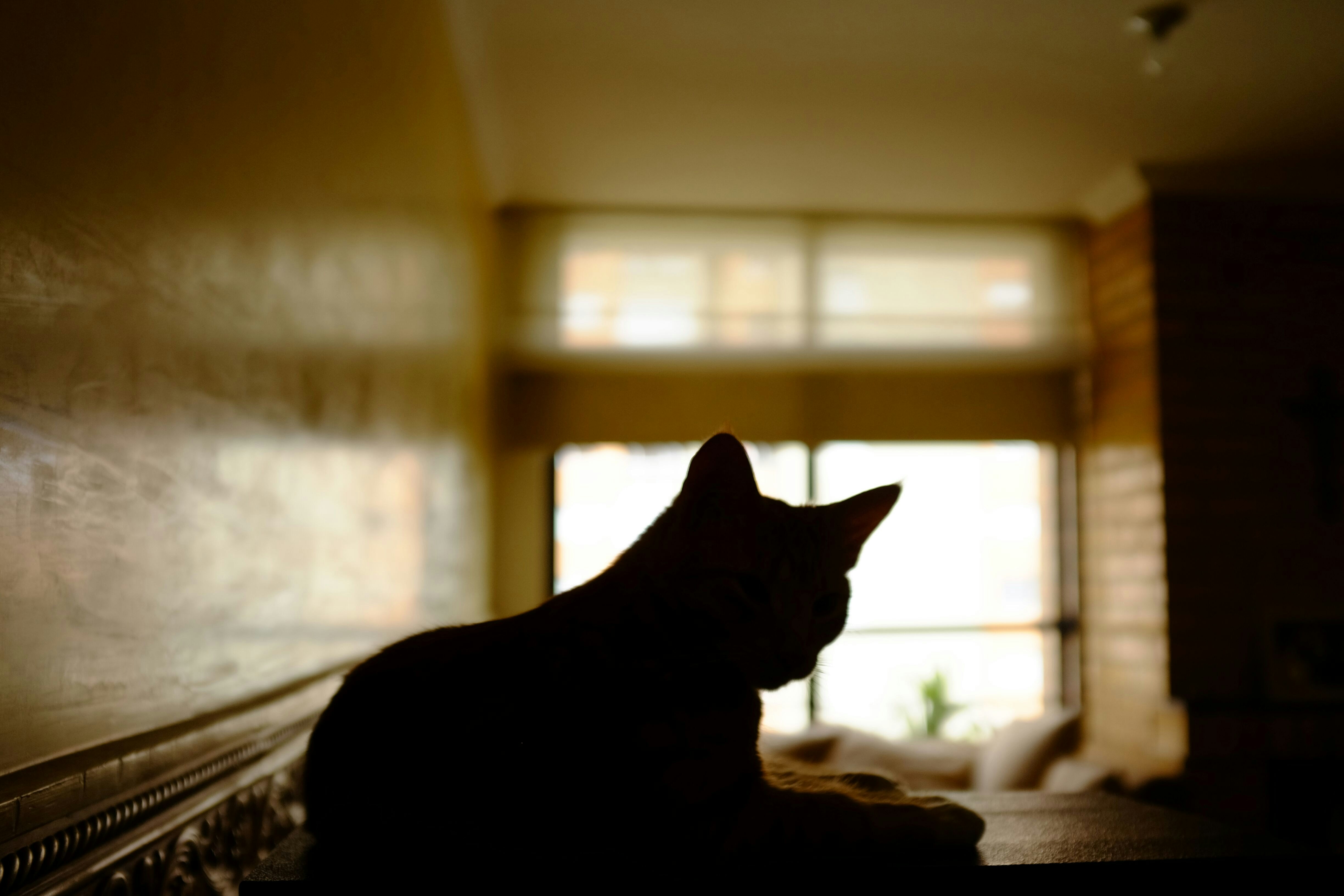 Photo by jgiraldo_photo