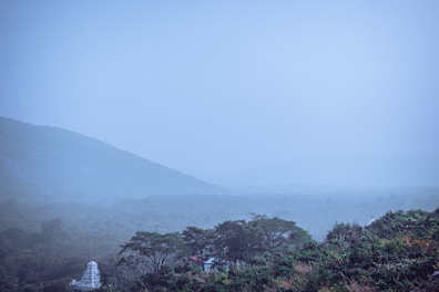 Balcony view overlooking the dense Wayanad forest with mist rolling over the treetops at dawn.