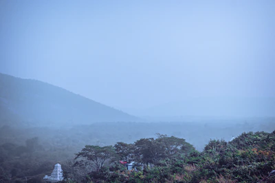 A misty morning in Arunachal Pradesh with lush green forests and traditional tribal huts.