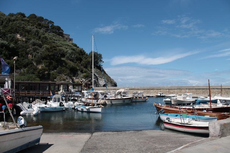 Directeur de port / Directrice de port