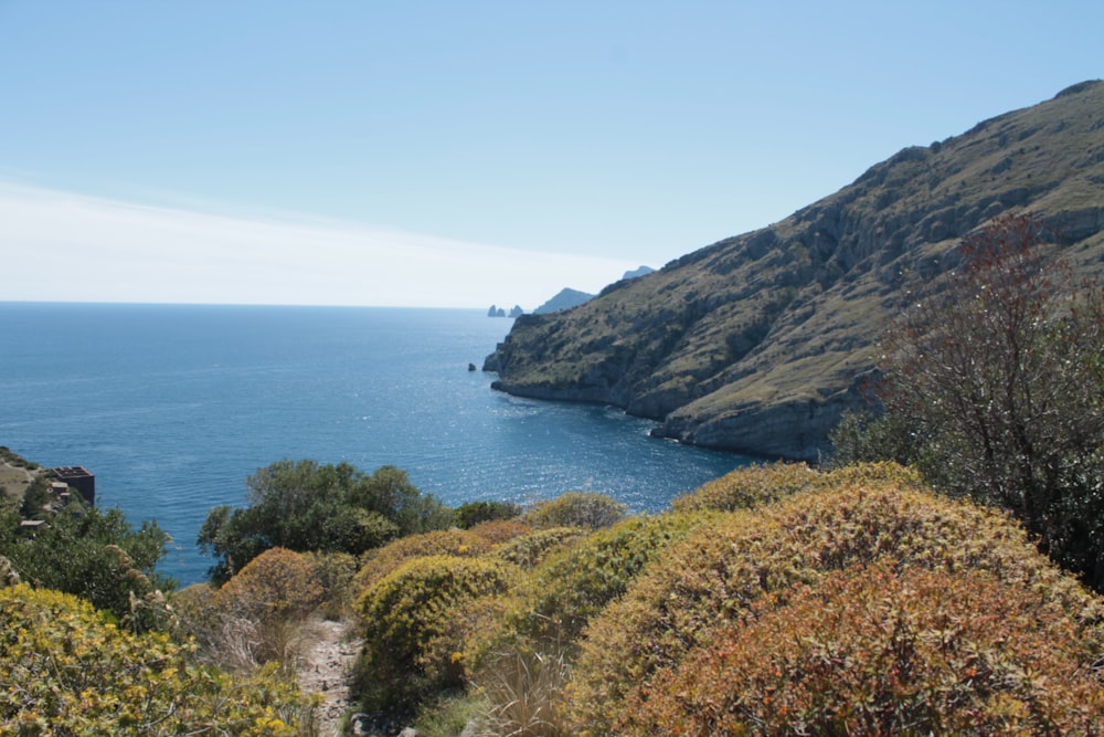 a view of a body of water from a hill