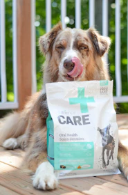 a dog holding a bag of dog food