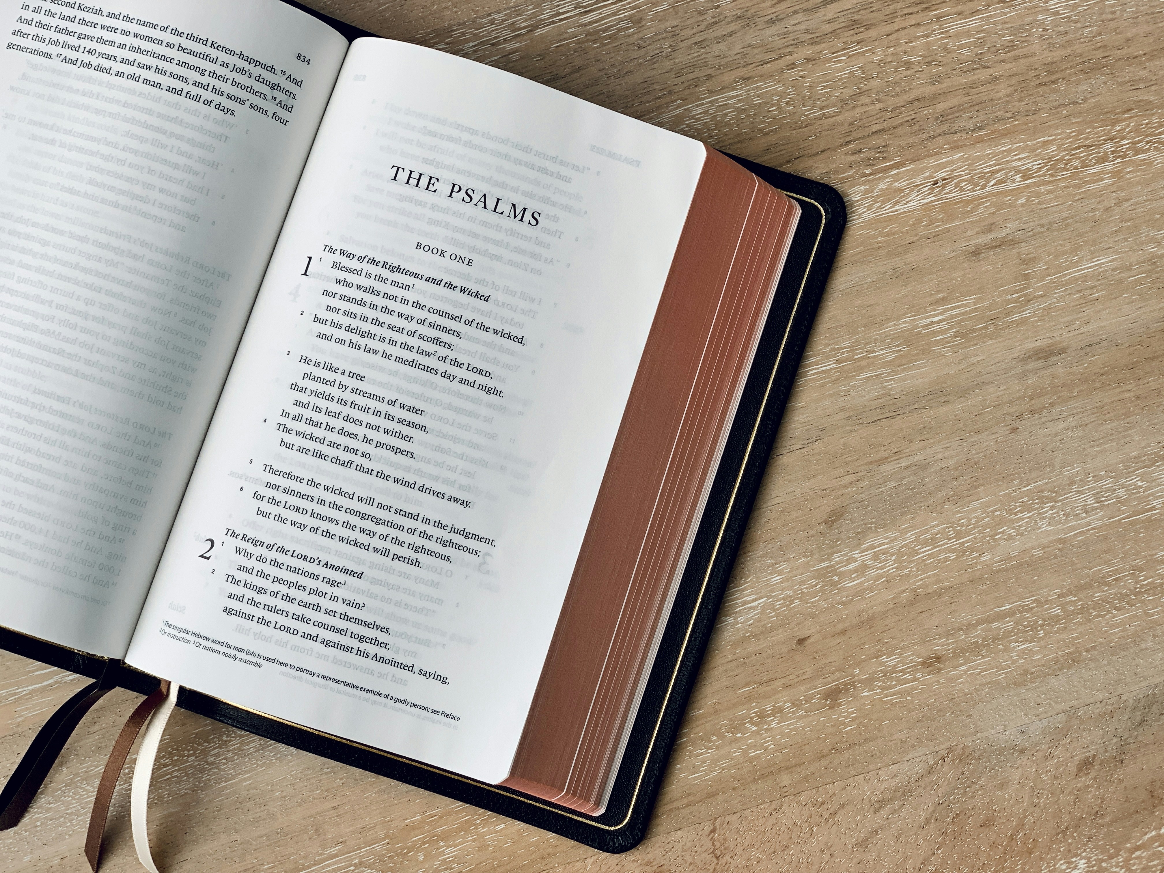 an open book on a wooden table with a ribbon