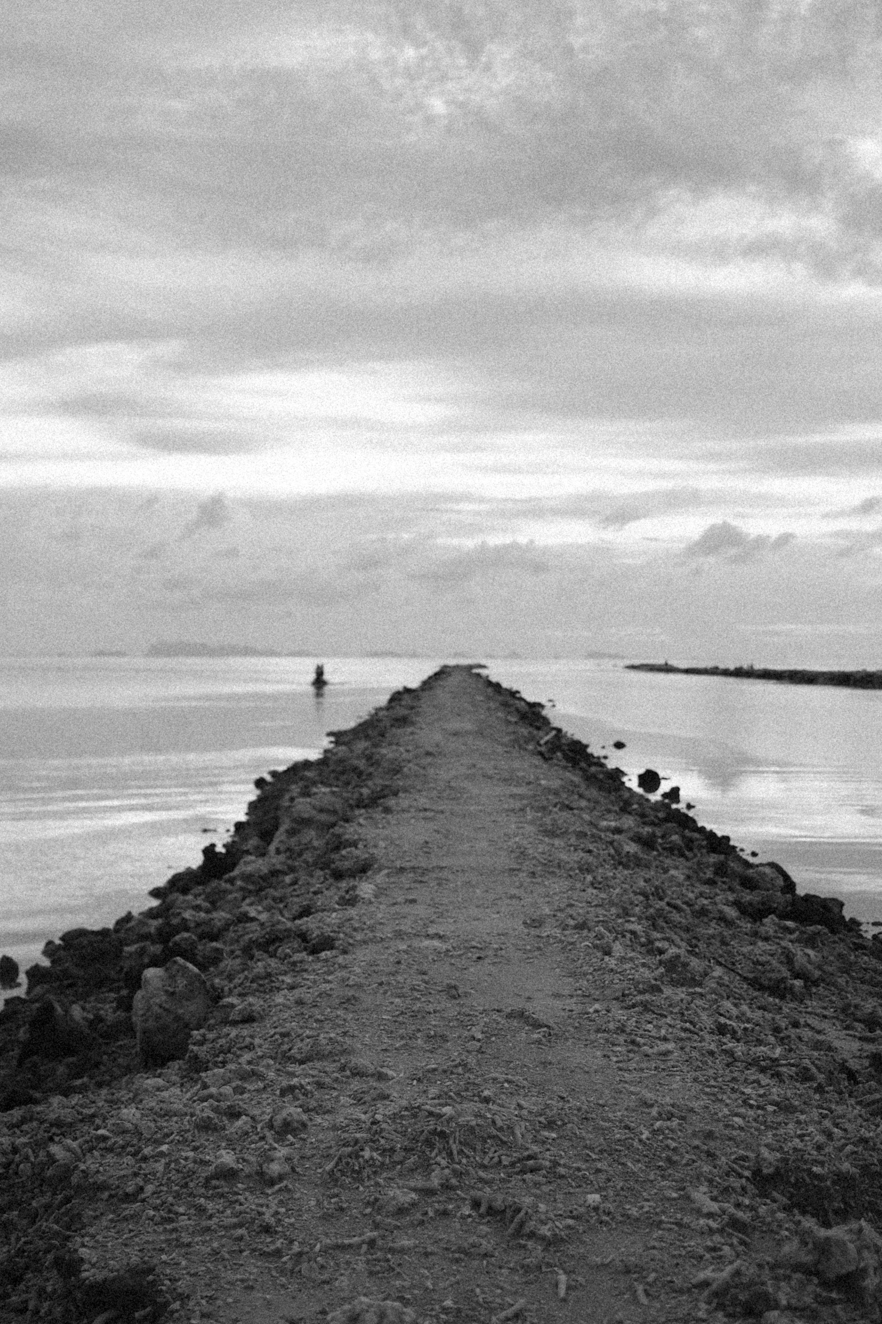 Photo by alexeydemidov