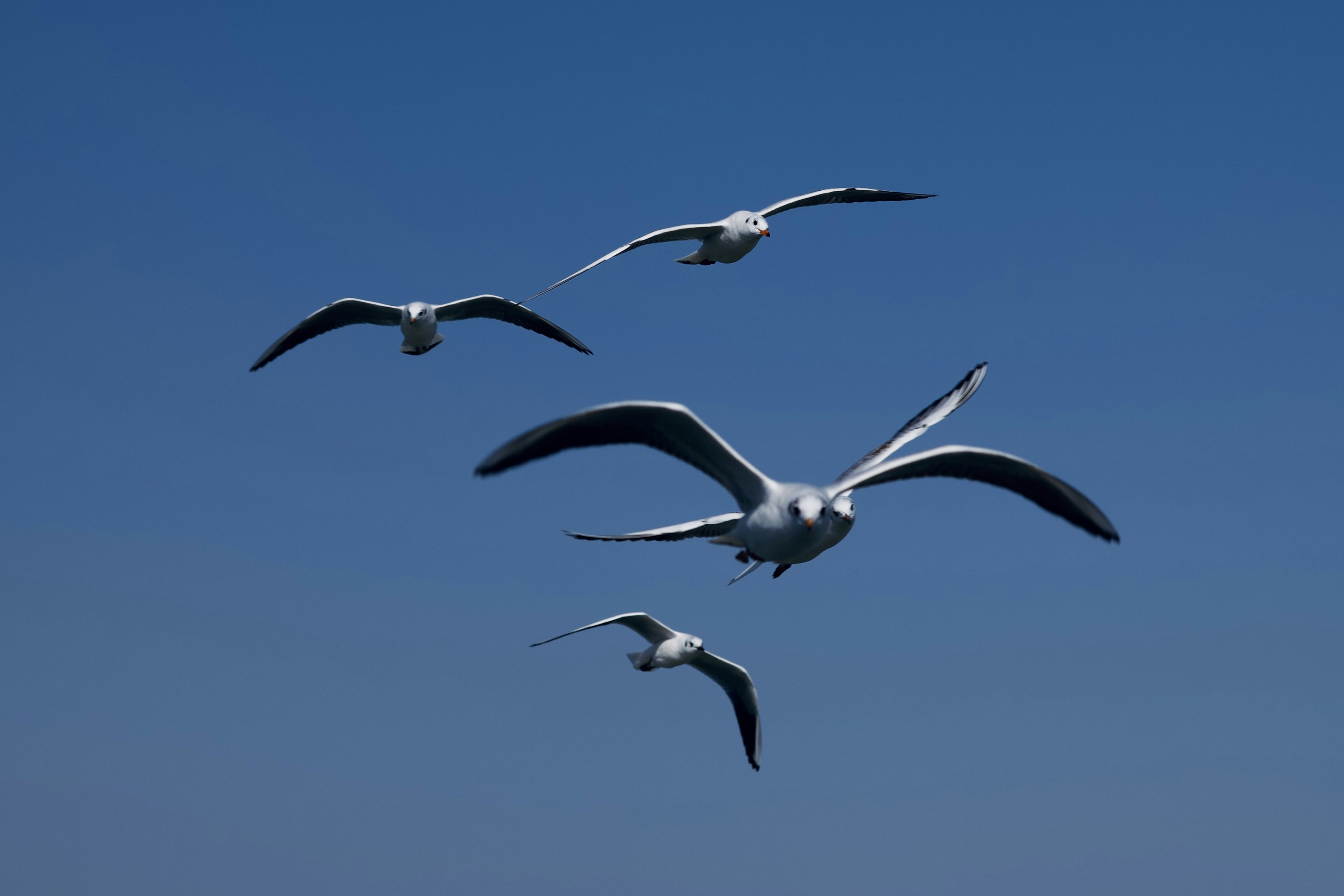 Photo by 2nd_cosmic_velocity