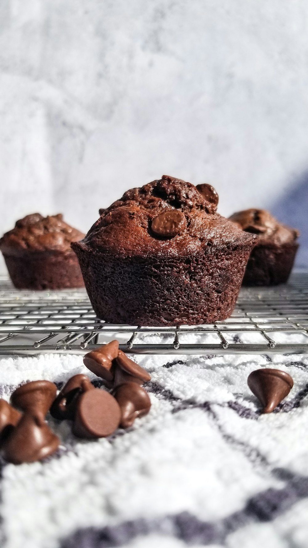 chocolate muffins cooling on a wire rack