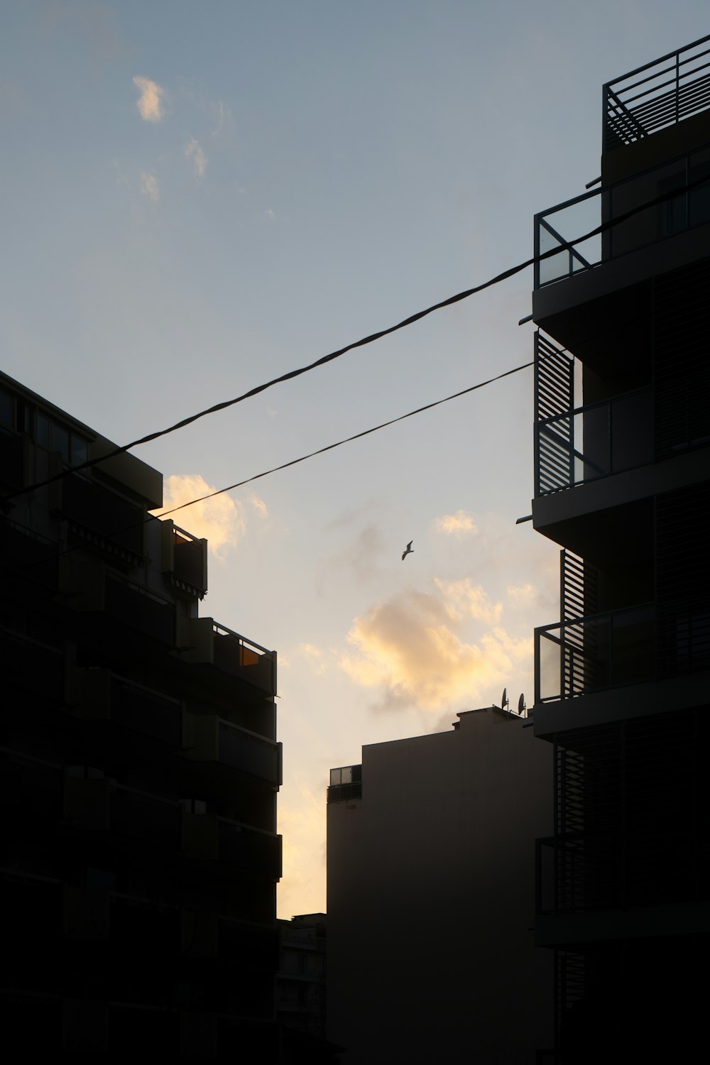 a bird flying in the sky over some buildings