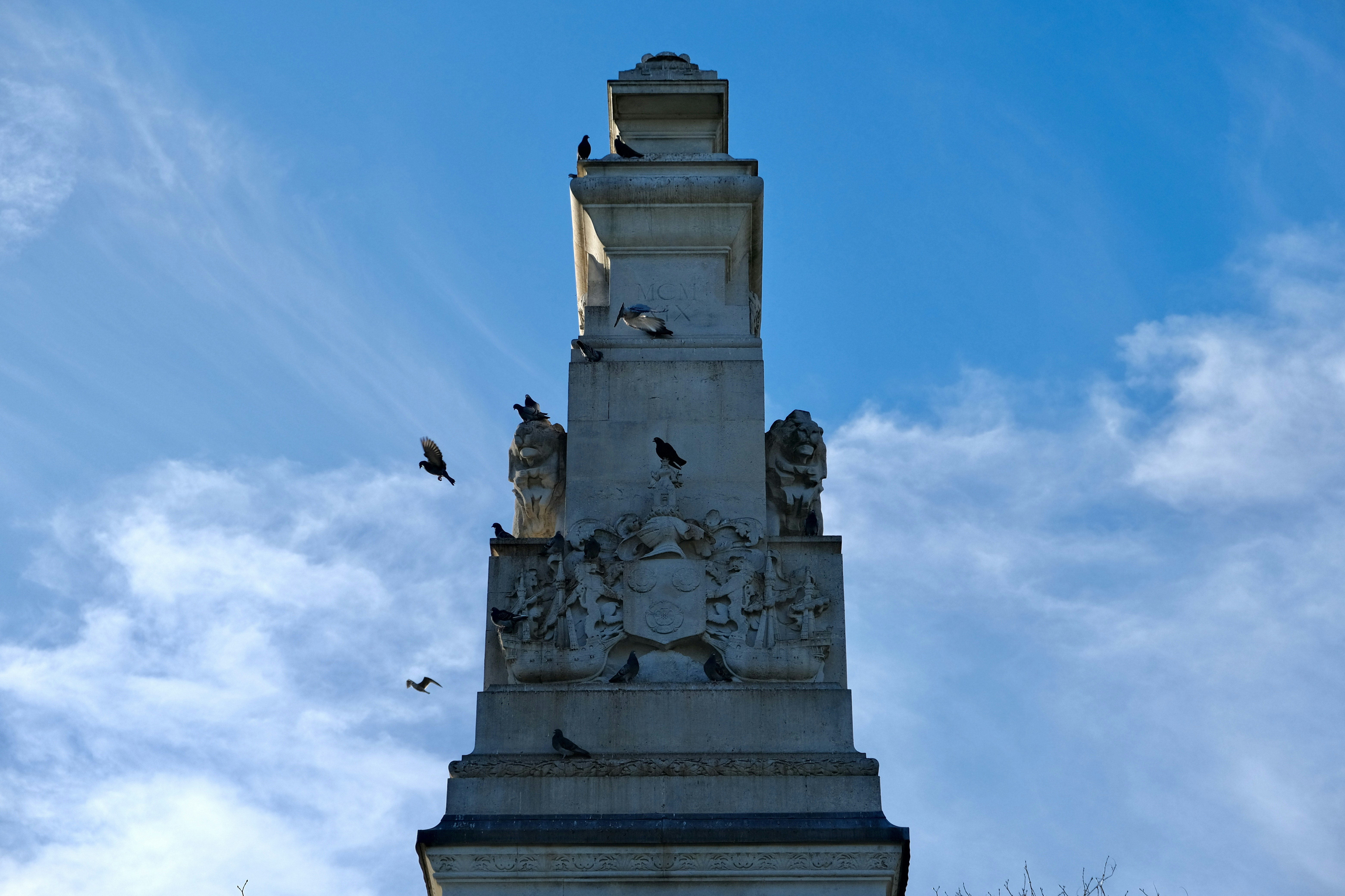 Photo by capricorn_song