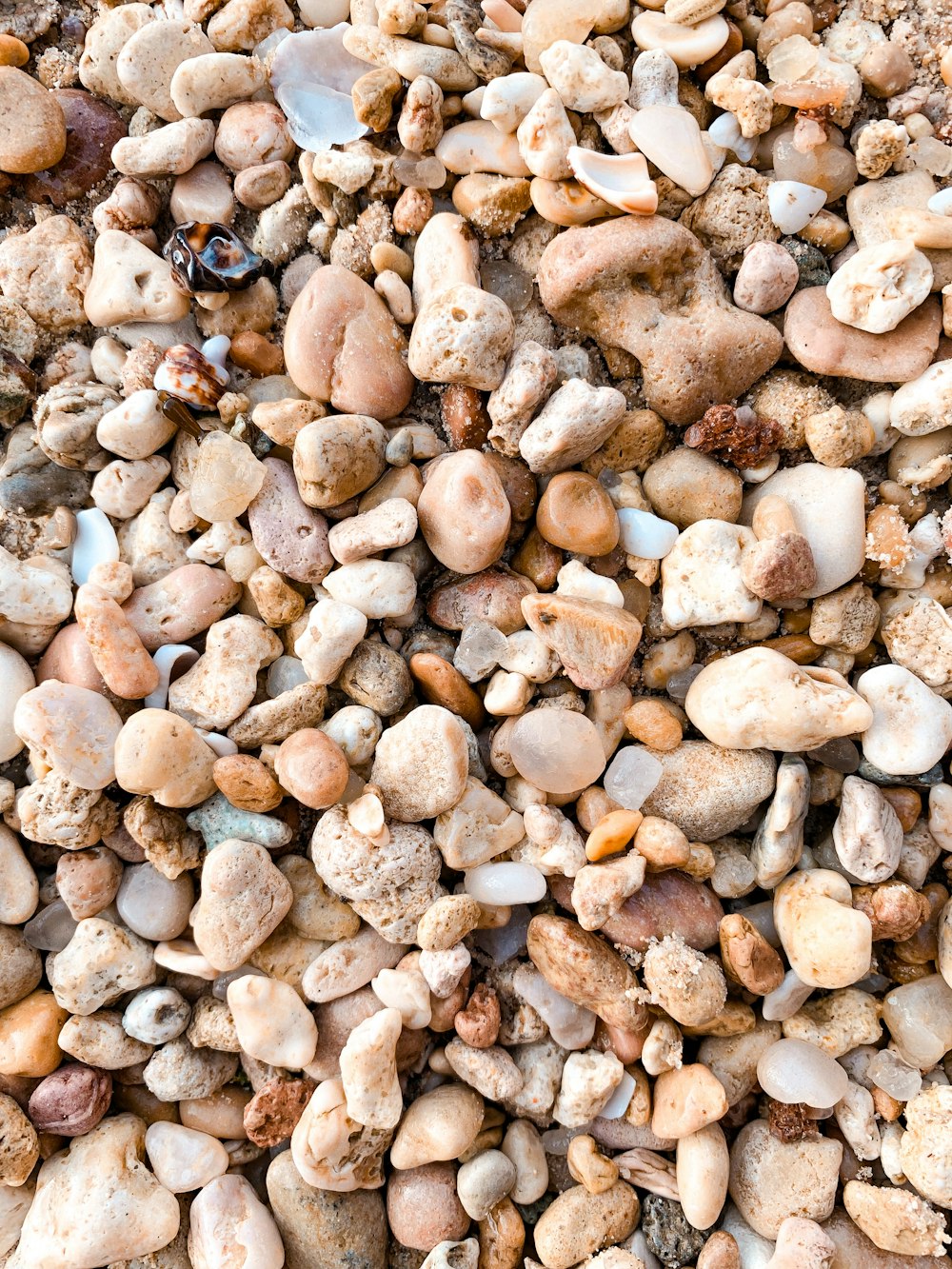 a bunch of rocks that are on the ground