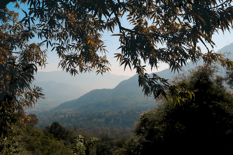 Best Pilgrimage Sites and Religious Places in Araku Valley Worth Visiting
